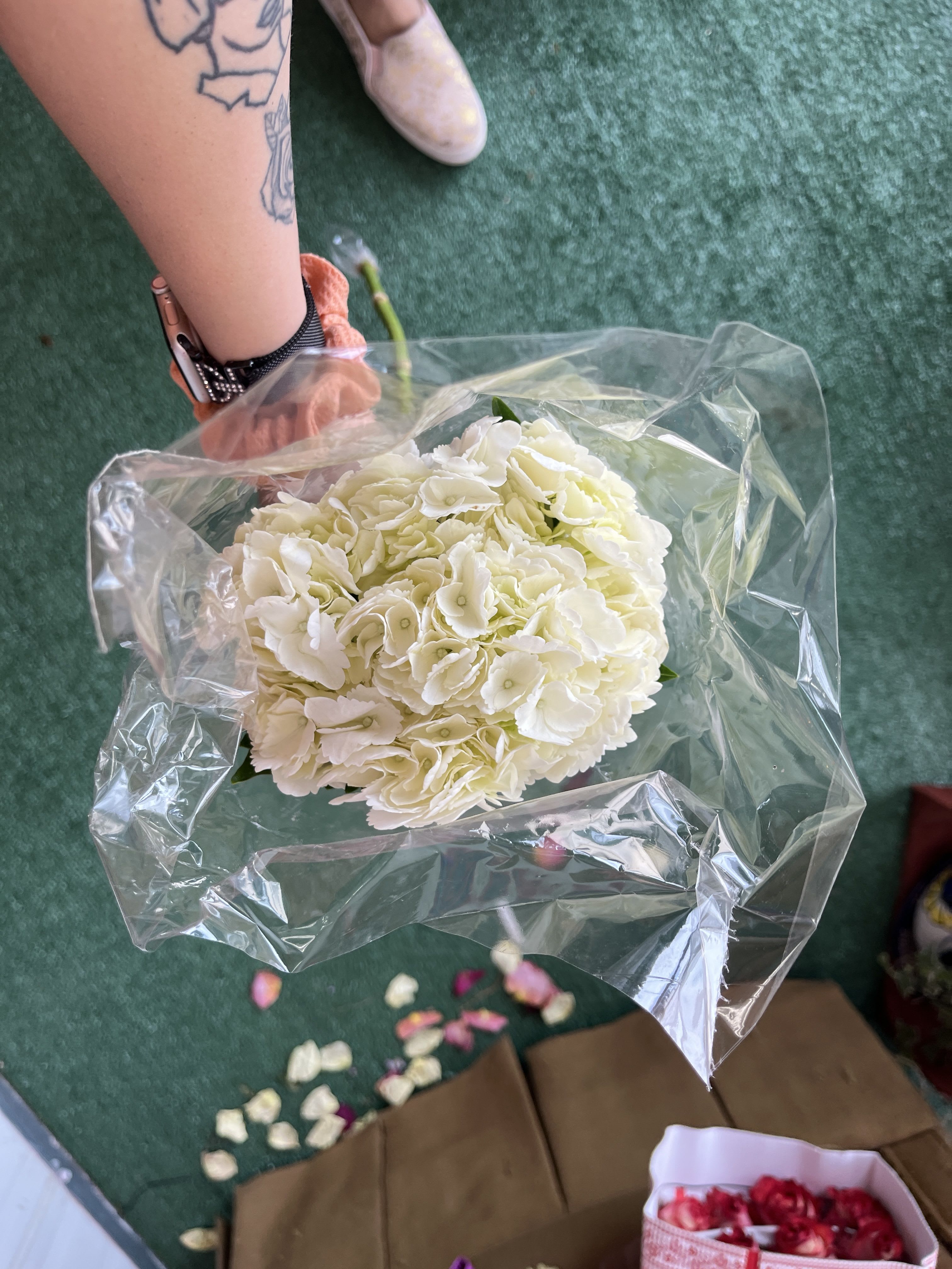 White hydrangea bouquet wrapped in clear plastic