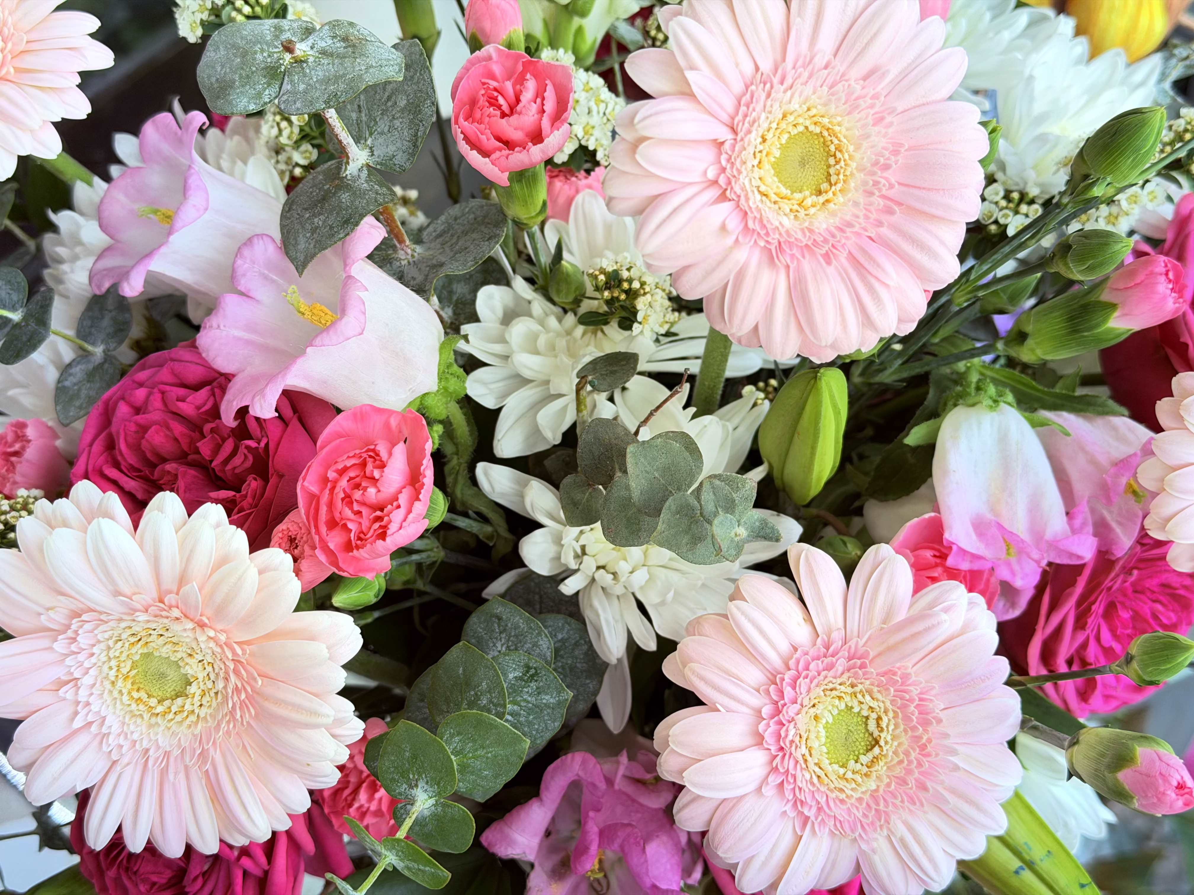lush Florist choice arrangement  - Celebrate life’s special moments with a stunning Lush Florist’s Choice Vase Arrangement, expertly designed using an abundant selection of the freshest seasonal flowers available. Our talented florists hand-select premium blooms and lush greenery to create a full, garden-inspired arrangement that is rich in texture, color, and natural beauty.  Presented in an elegant vase, each arrangement is uniquely crafted, allowing our designers the creative freedom to showcase the finest flowers of the season. Featuring a luxurious mix of focal flowers, accent blooms, and fresh foliage, this arrangement offers a generous and impressive presentation perfect for making a lasting impression.  Ideal for birthdays, anniversaries, celebrations, thank-you gifts, sympathy expressions, or simply brightening someone's day, this designer’s choice arrangement delivers exceptional freshness, artistry, and value.