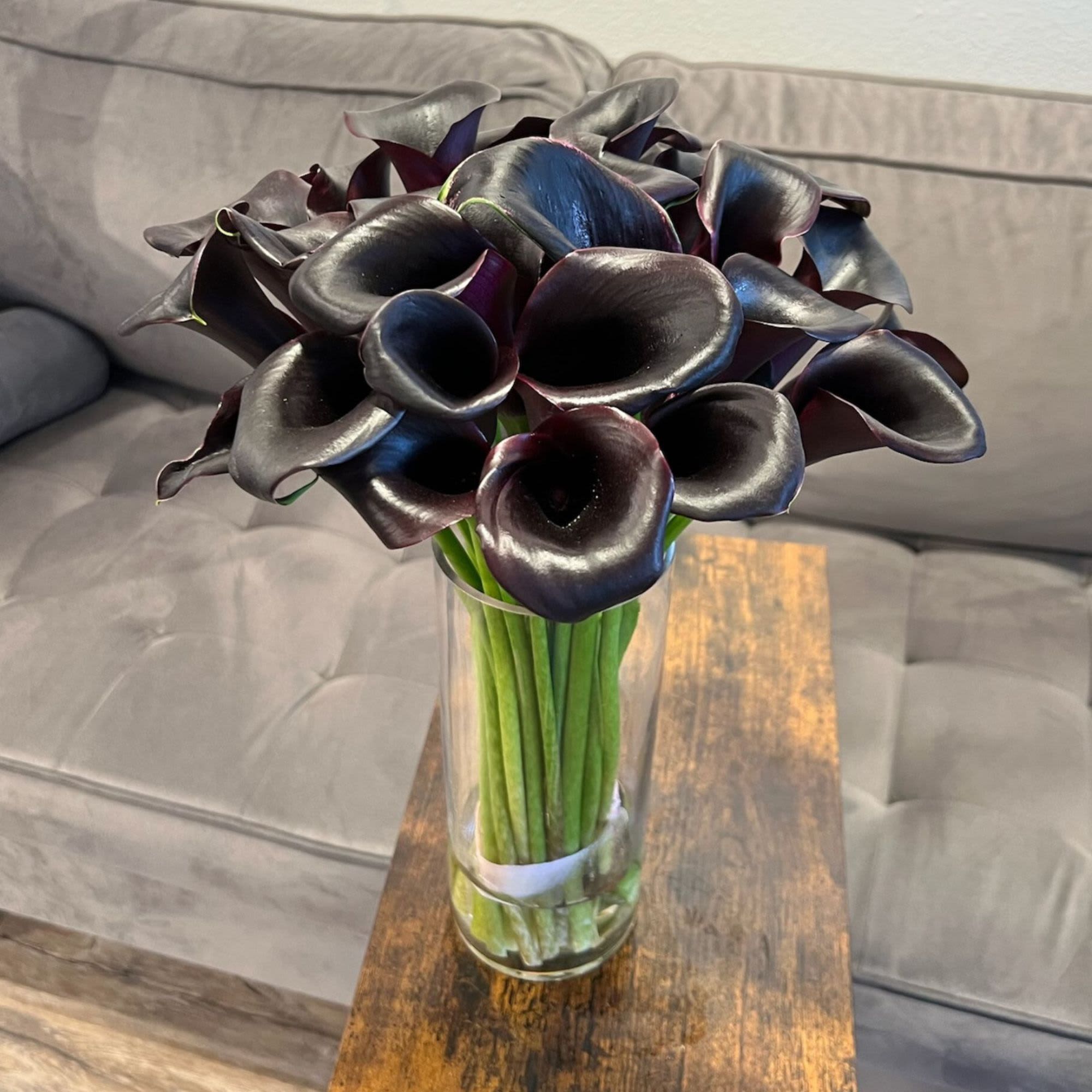 Black Calla Lilies in a vase - Black Calla Lilies in a vase30 