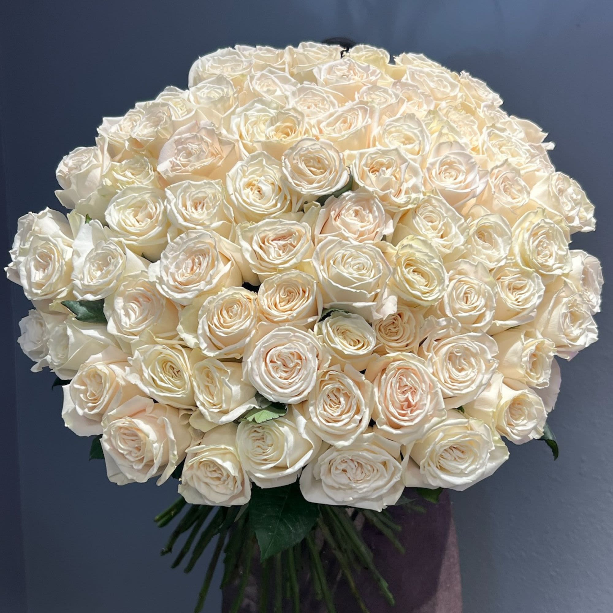 Large bouquet of cream white roses against a dark background