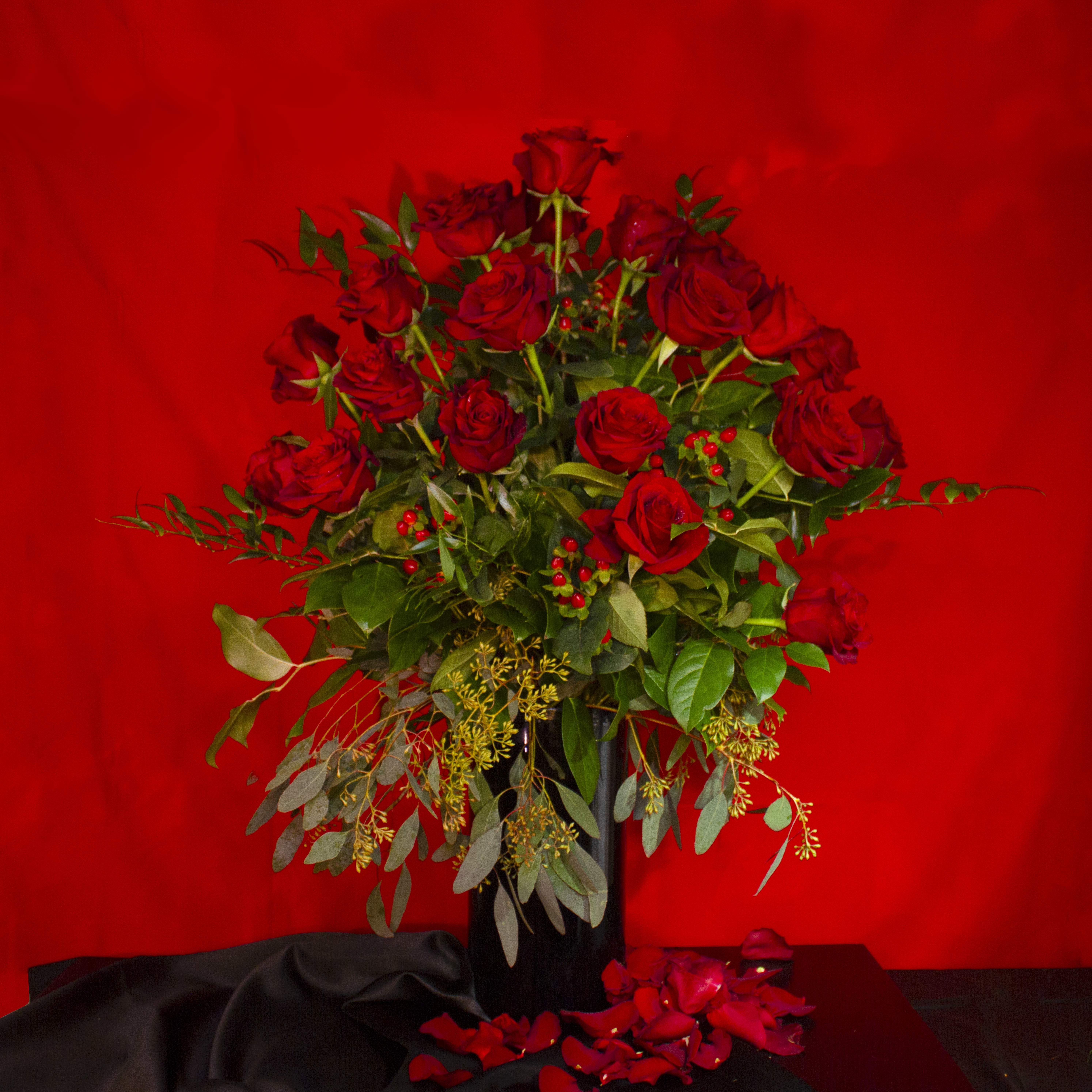 'Lady in Red' by Madison's Flowers - 2 Dozen Deep Red Explorer Roses, thoughtfully arranged in a glossy black glass cylinder vase. Heavy, lush greens, seeded eucalyptus and extra long Itialian ruscus, contrast vividly with the high petal count, dramatic Explorer Roses, full of rich color.  A red rose to be seen and sent in person.   Vase is 6"x12".
