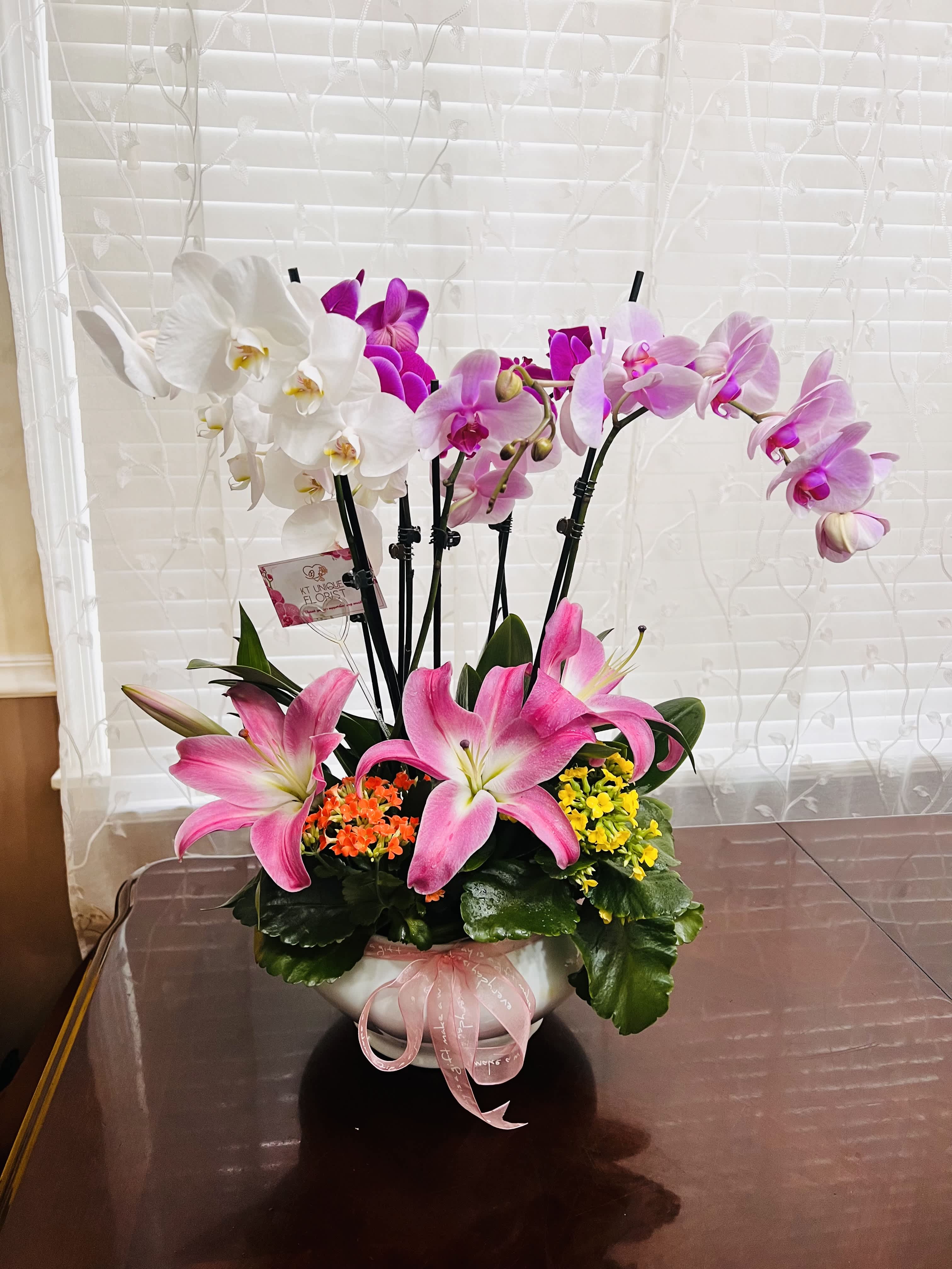 Trio Orchids - Planted Orchids and mixed mini–Flowers Plant