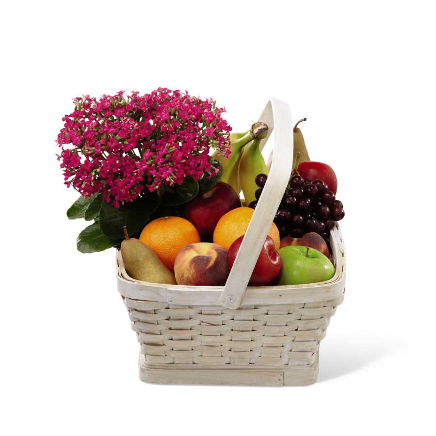 The FTD Garden's Paradise Basket - The FTD Garden's Paradise Flowering Fruit Basket is a wonderful way to send your warmest wishes. A hot pink kalanchoe plant captures their attention in a large whitewash woodchip handled basket filled with an assortment of fruit, making this a great gift to say thank you, congratulations or even to convey your sympathies. Approx. 13âH x 13âW.
