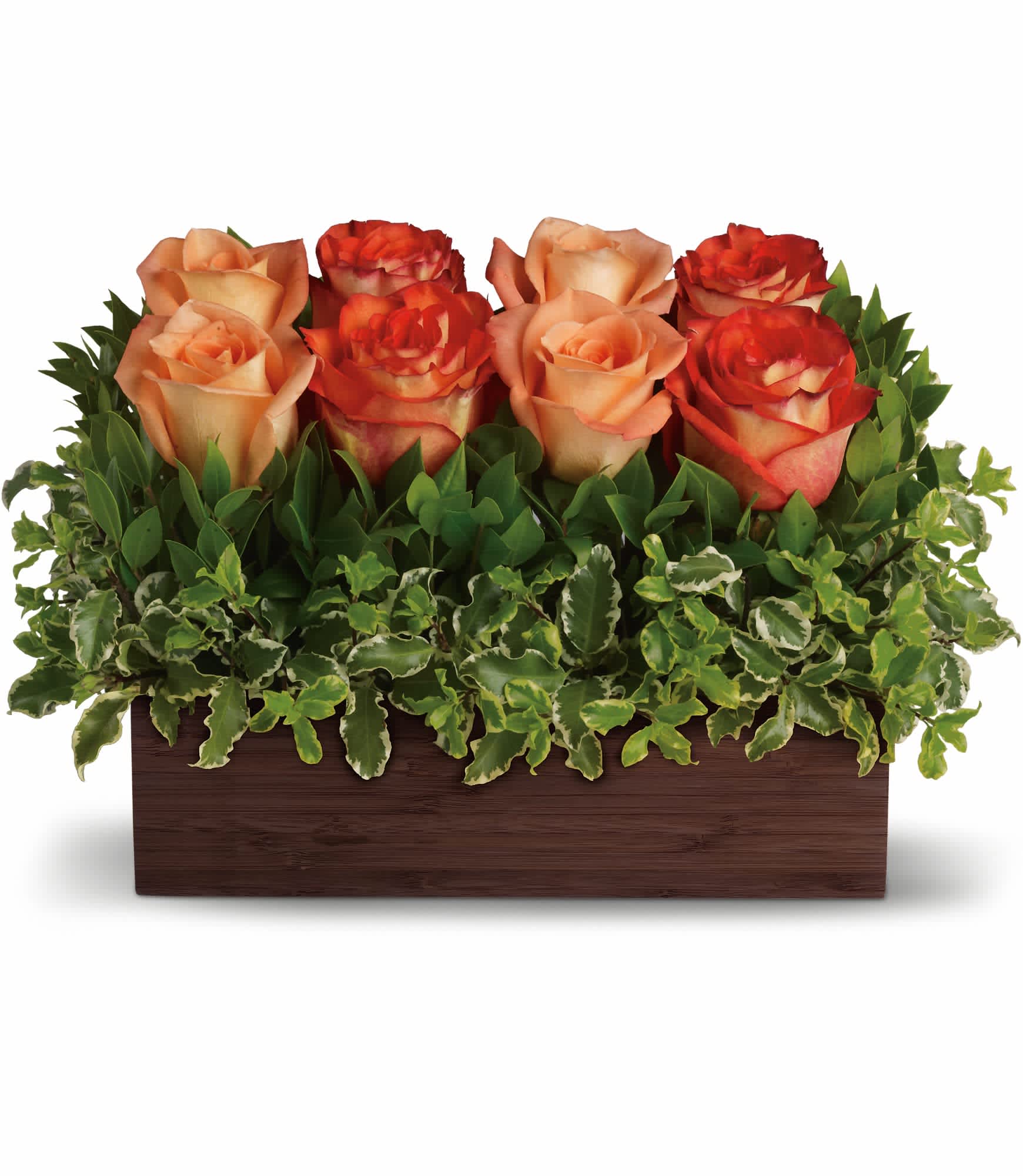 Teleflora's Uptown Bouquet - An arrangement worthy of your uptown girl, this one rocks! Modern without being trendy. Gorgeous without being girly. If your woman knows style, this is the gift for her.    Outrageously beautiful dark orange and peach roses are nestled in a garden of greens and delivered in a unique bamboo rectangle. Go ahead: show her that you get it.    Approximately 14" W x 9 1/2" H    Orientation: All-Around    As Shown : T72-3A  Deluxe : T72-3B  Premium : T72-3C