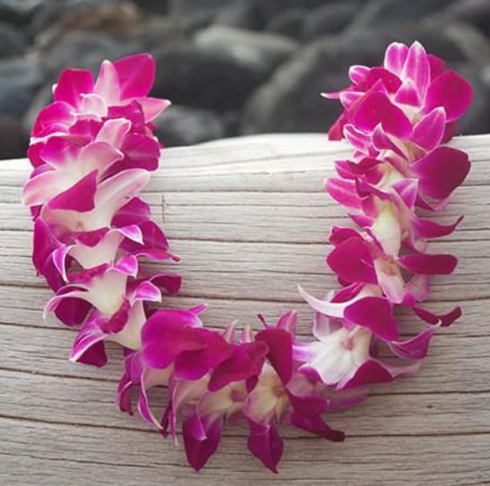 Pink and white orchid lei on a wooden surface