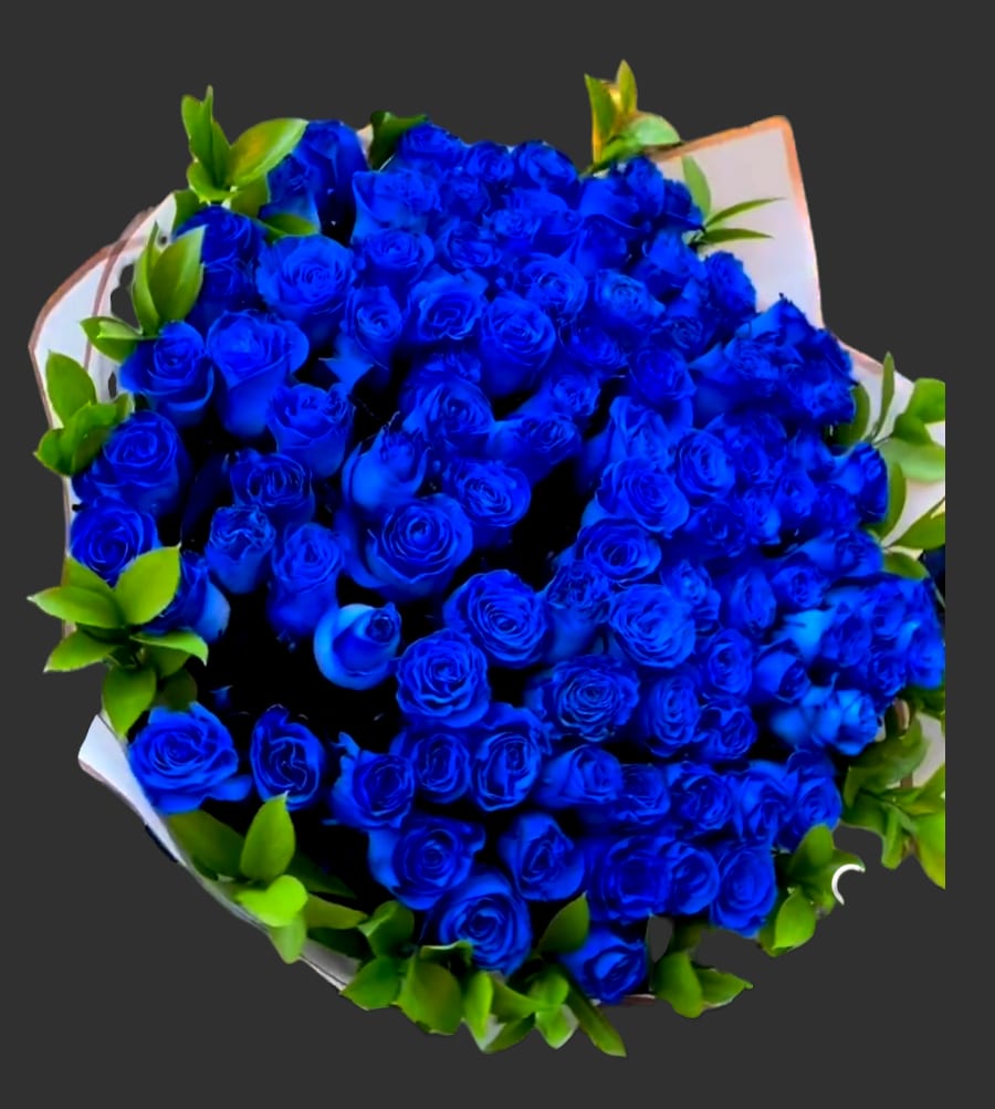 Bouquet of vivid blue roses with green foliage and white wrapping
