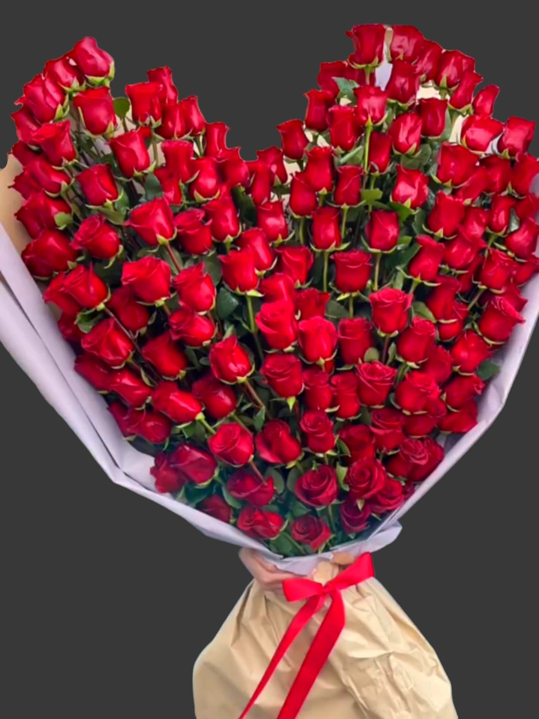Large bouquet of red roses wrapped in white paper with a red ribbon