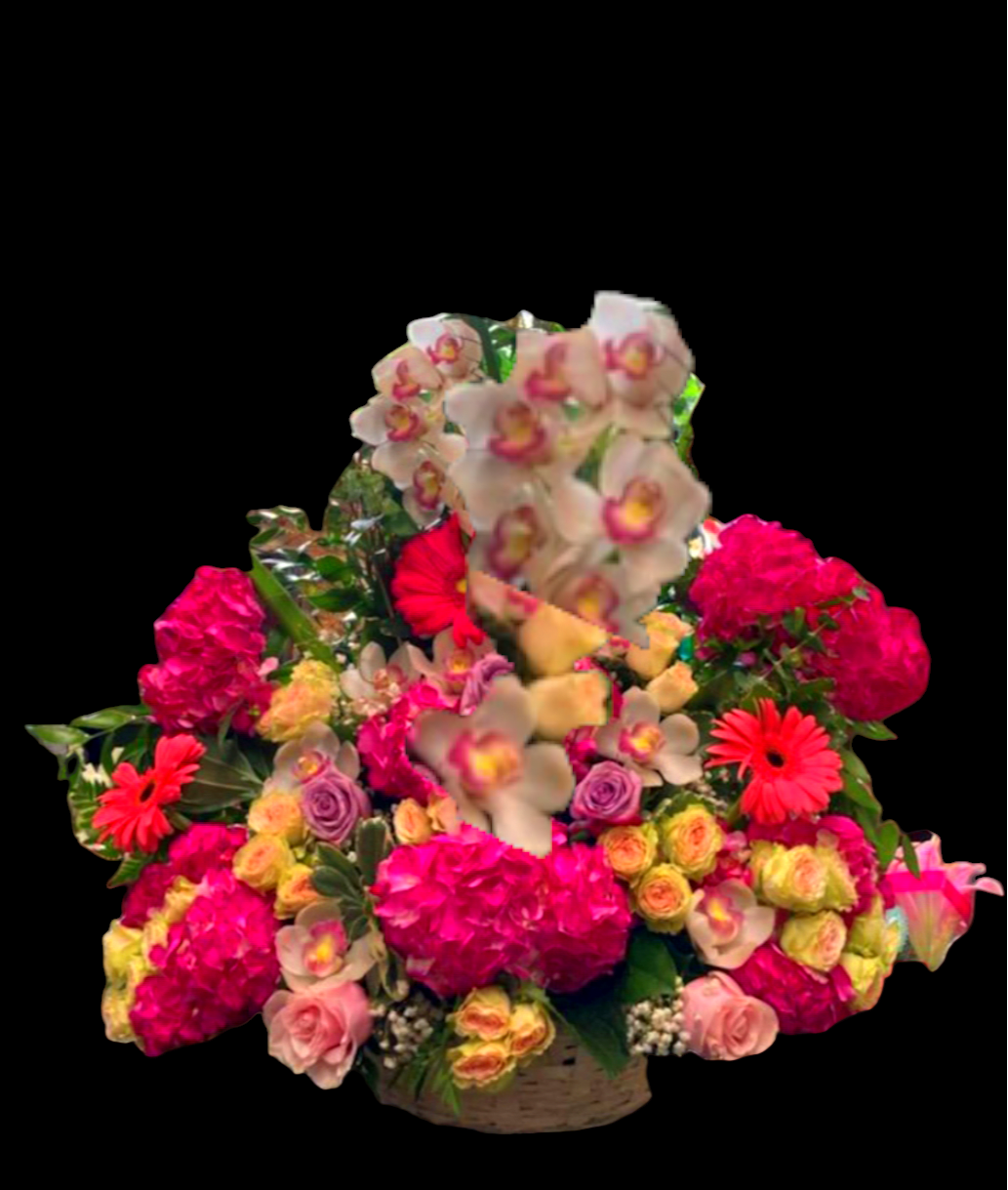 Nice large exotic floral basket - nice and large floral exotic tropical basket of flowers with cymbidium orchids, yellow spray roses, hot pink and red gerbera daisies, baby's breath, red hydrangeas, exotic and tropical foliage.