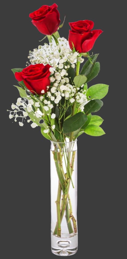 Cheap Love 3 red roses in a vase - Send a cute and sweet 3 red roses bud vase to your love, your friend, or your relative for any day. Sending this arrangement is a lovely gesture and shows that you are thinking of them without breaking the bank!  Approximate Dimensions: 5"D x 15"H