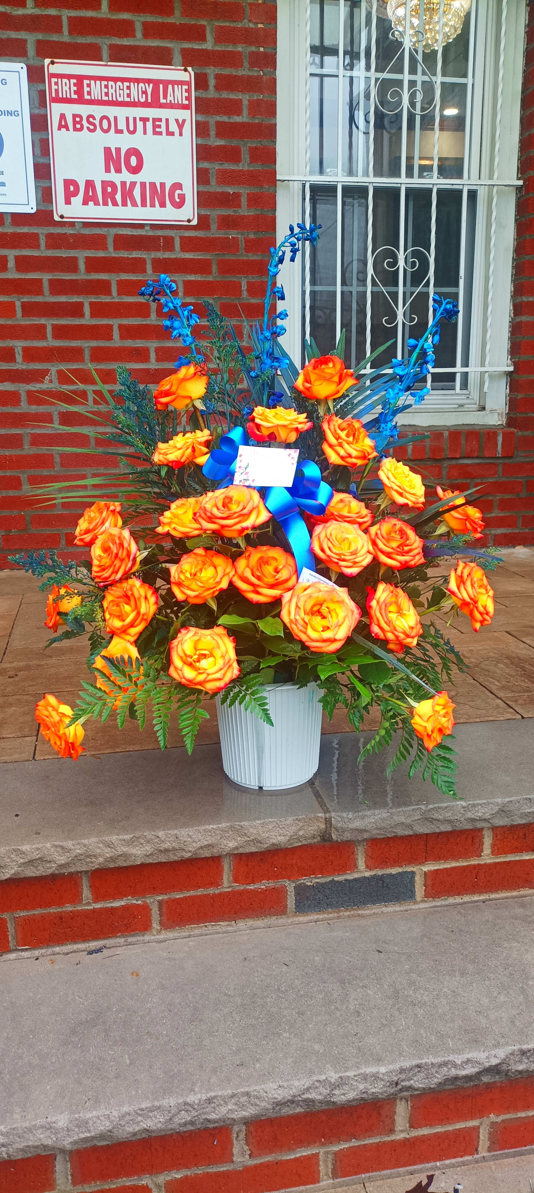 Orange roses in a white pot with blue accent flowers and ribbon