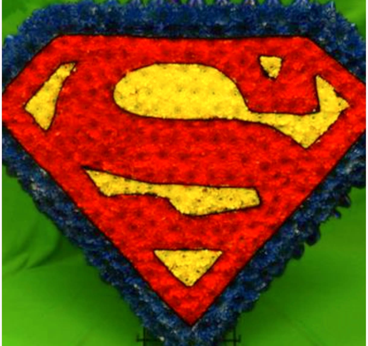 Superman logo made from flowers on a green background