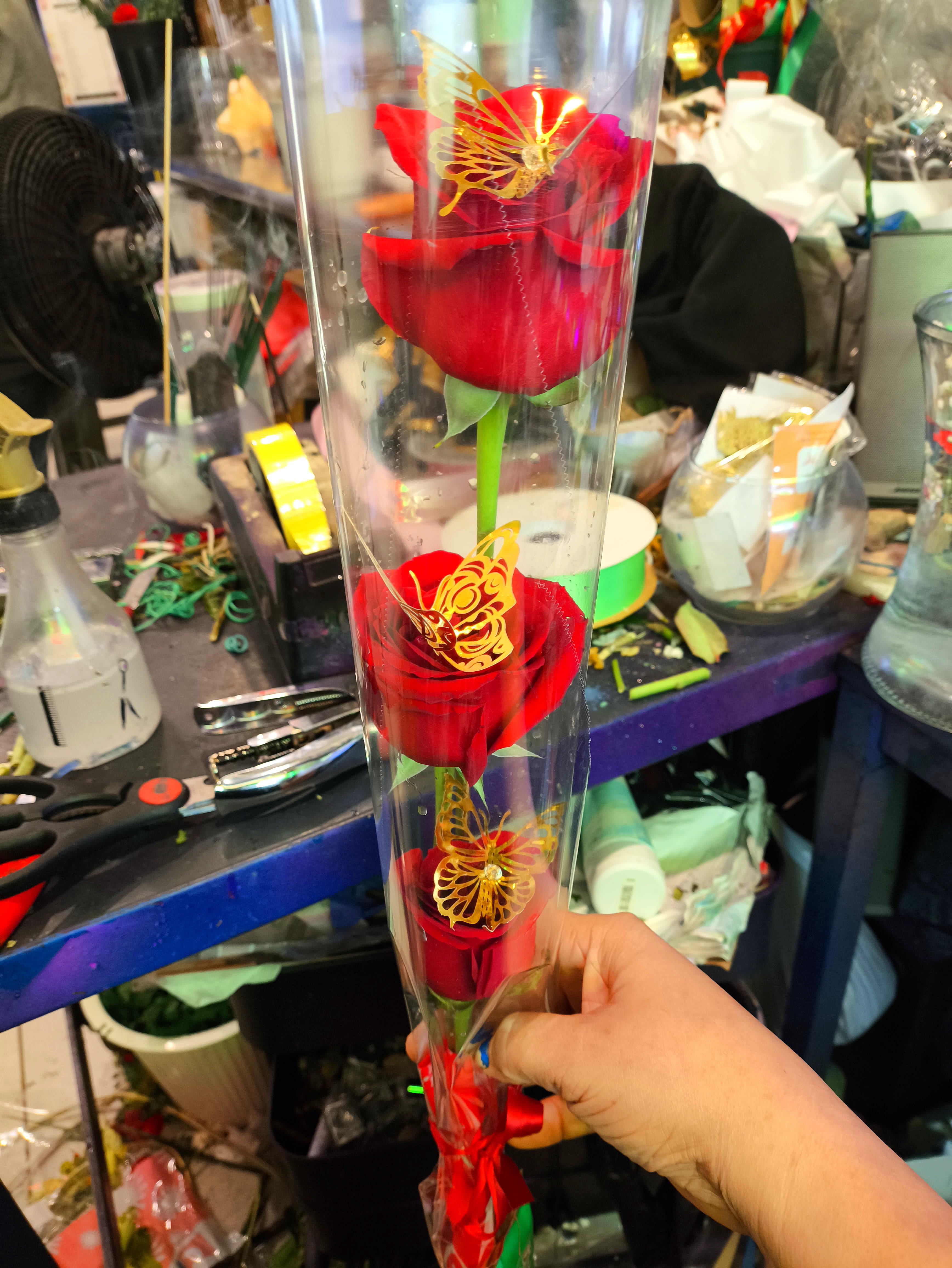 Three red roses in a clear sleeve with butterfly decorations