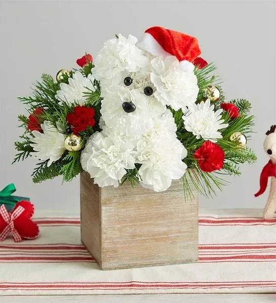 Santa Paws - Who’s that doggie delivering holiday magic? It’s our very own Santa Paws! Crafted from a merry mix of blooms and ornaments, he’s decked out in a festive Santa hat to unleash Christmas cheer on family and friends.