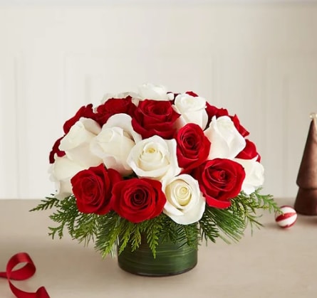 Candy Cane Swirl Roses - Classic Christmas with a fun, modern twist! Our red and white roses are gathered together, creating a candy cane swirl, for a fresh floral take on the popular seasonal treat. Joined by lush holiday greens, it’s the best way to get everyone into the holiday spirit. Small comes with 19 roses, Medium comes with 25, and Large comes with 36.