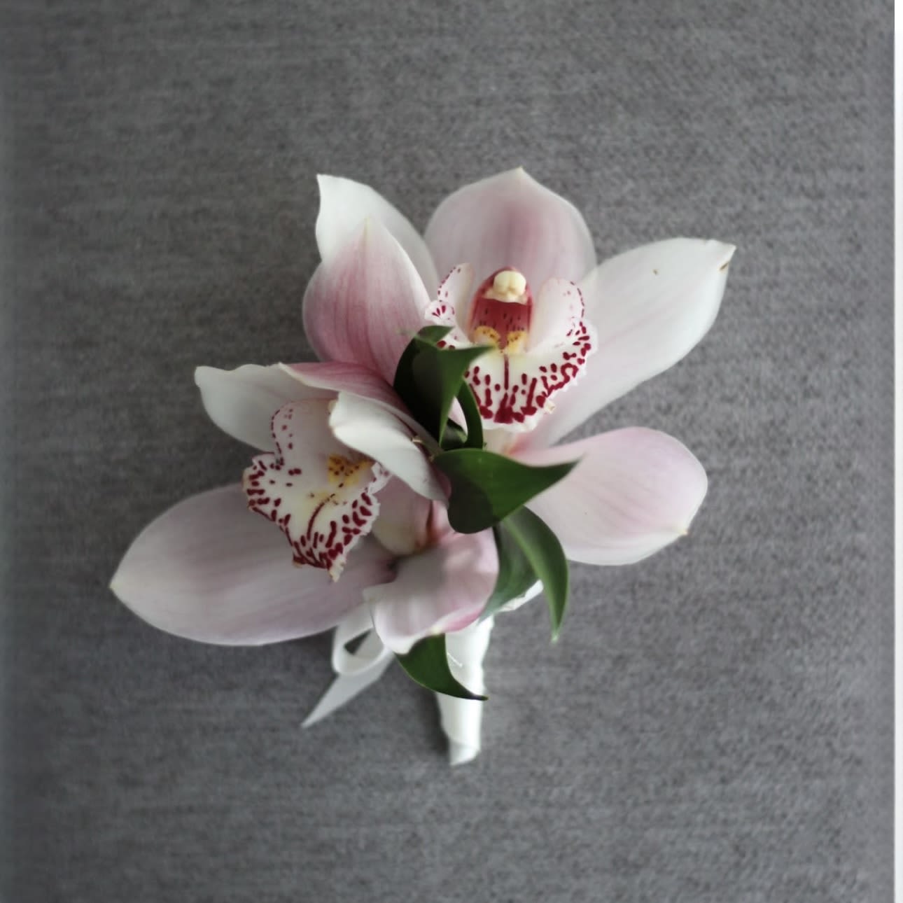 Small bouquet of pink and white orchids with a white ribbon