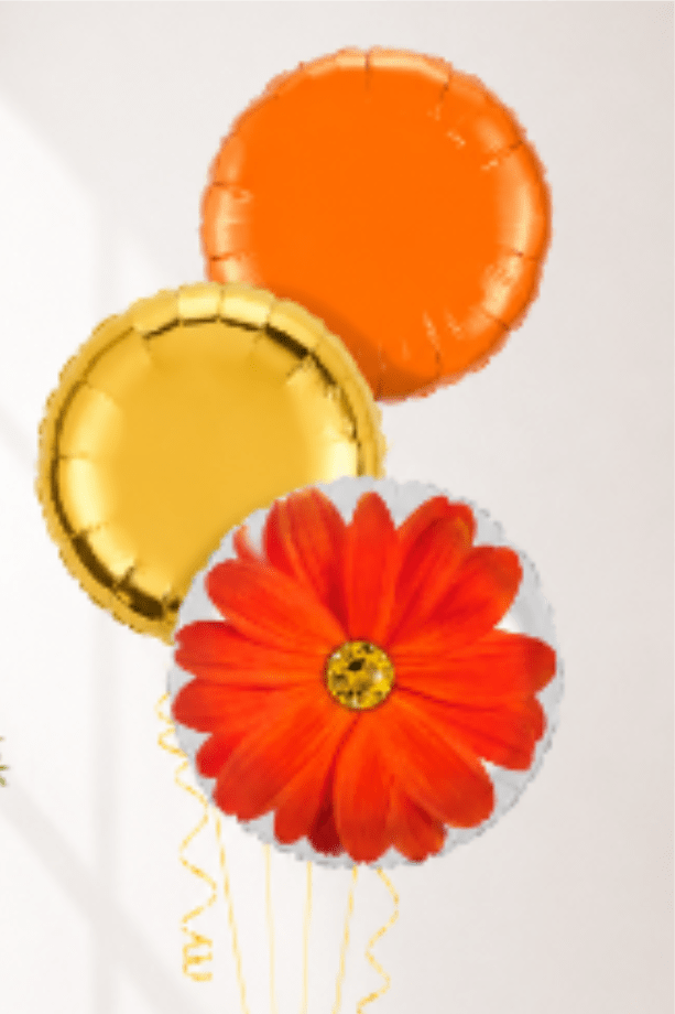 Gerber Garden Balloon Bundle - This fun and fine 3 balloon bundle is a perfect refreshing gift.  All balloons are mylar and it includes a weight. Balloon Shapes can very, style and color will be the same.