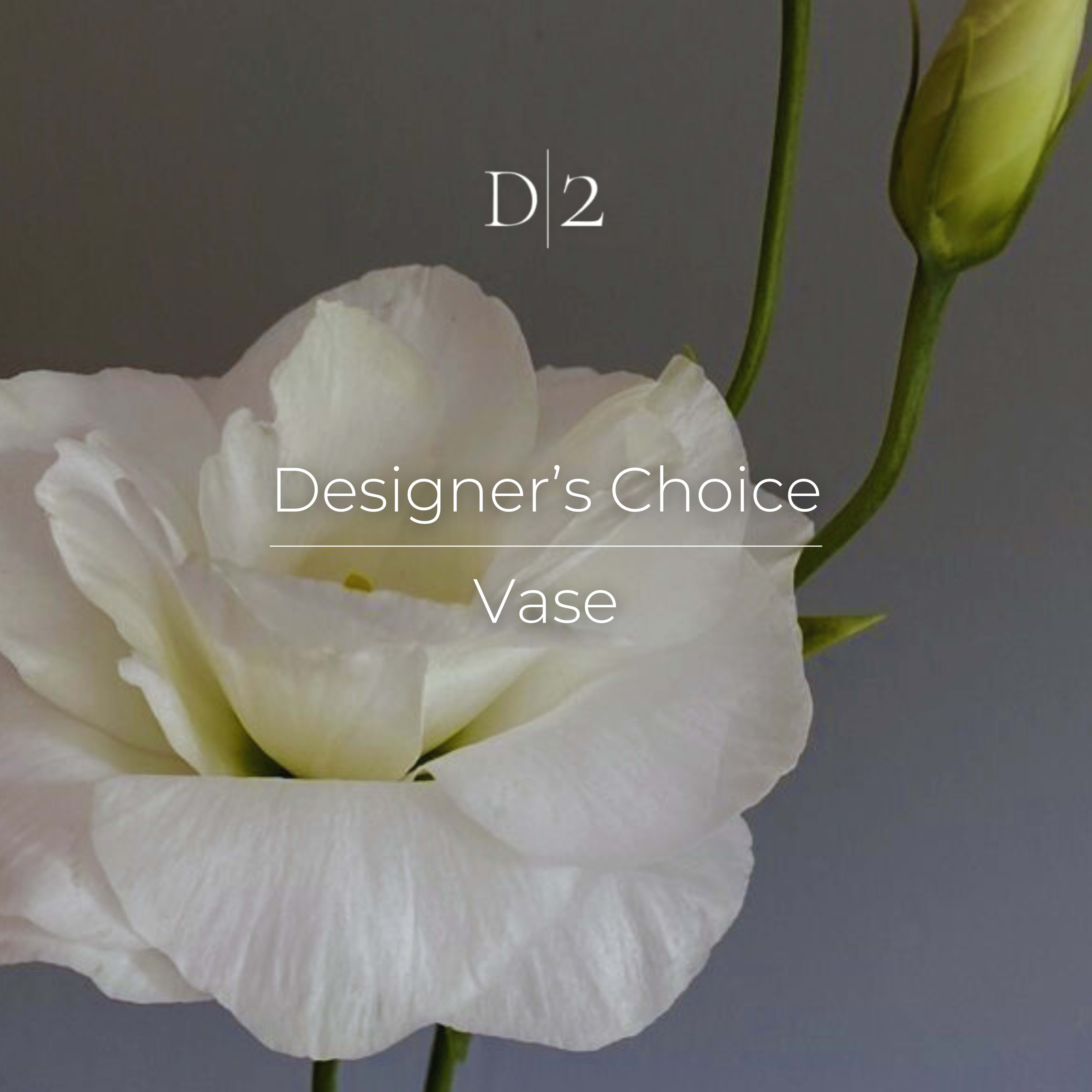 White lisianthus bloom with buds on a gray background