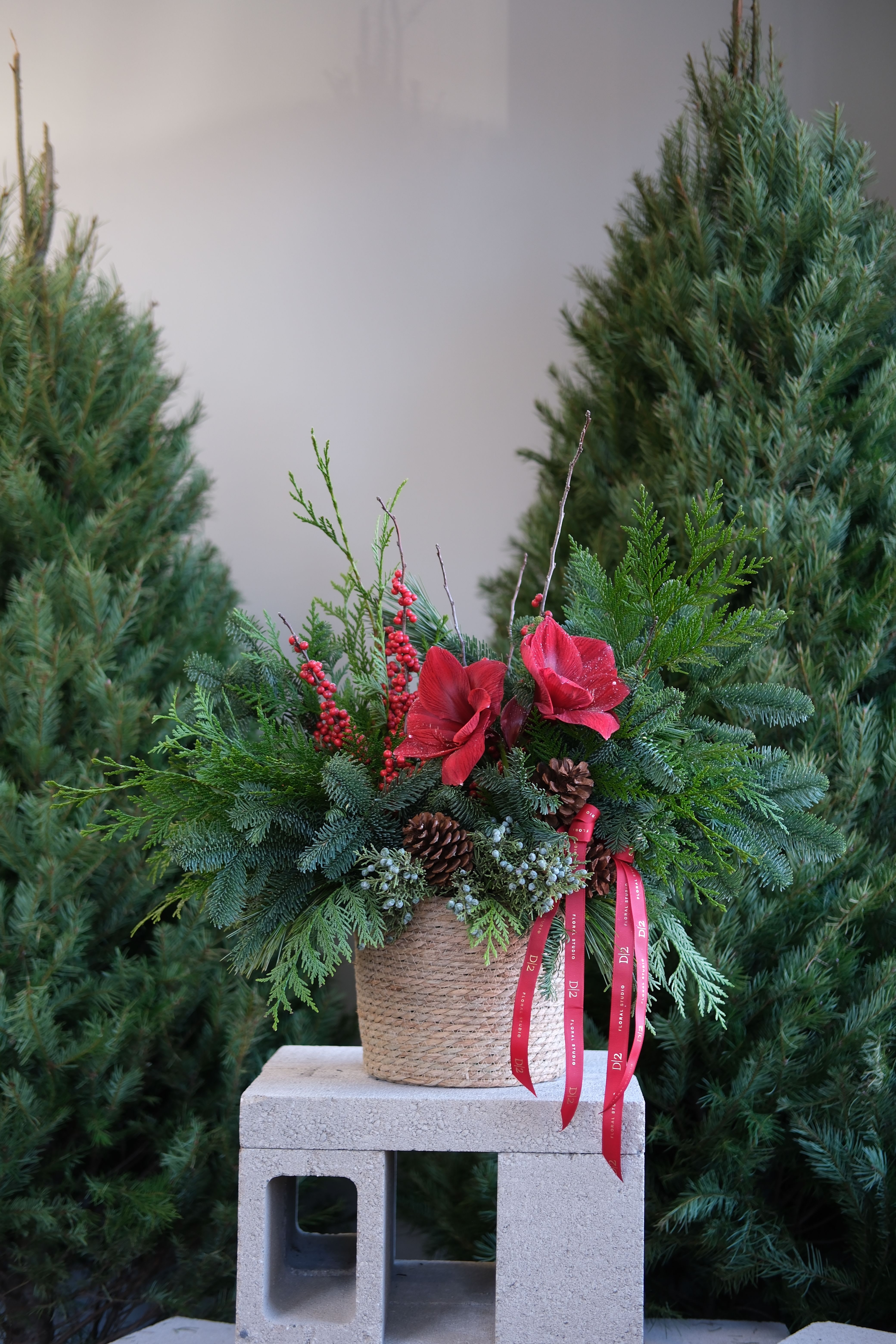Holiday arrangement with red flowers in a woven basket