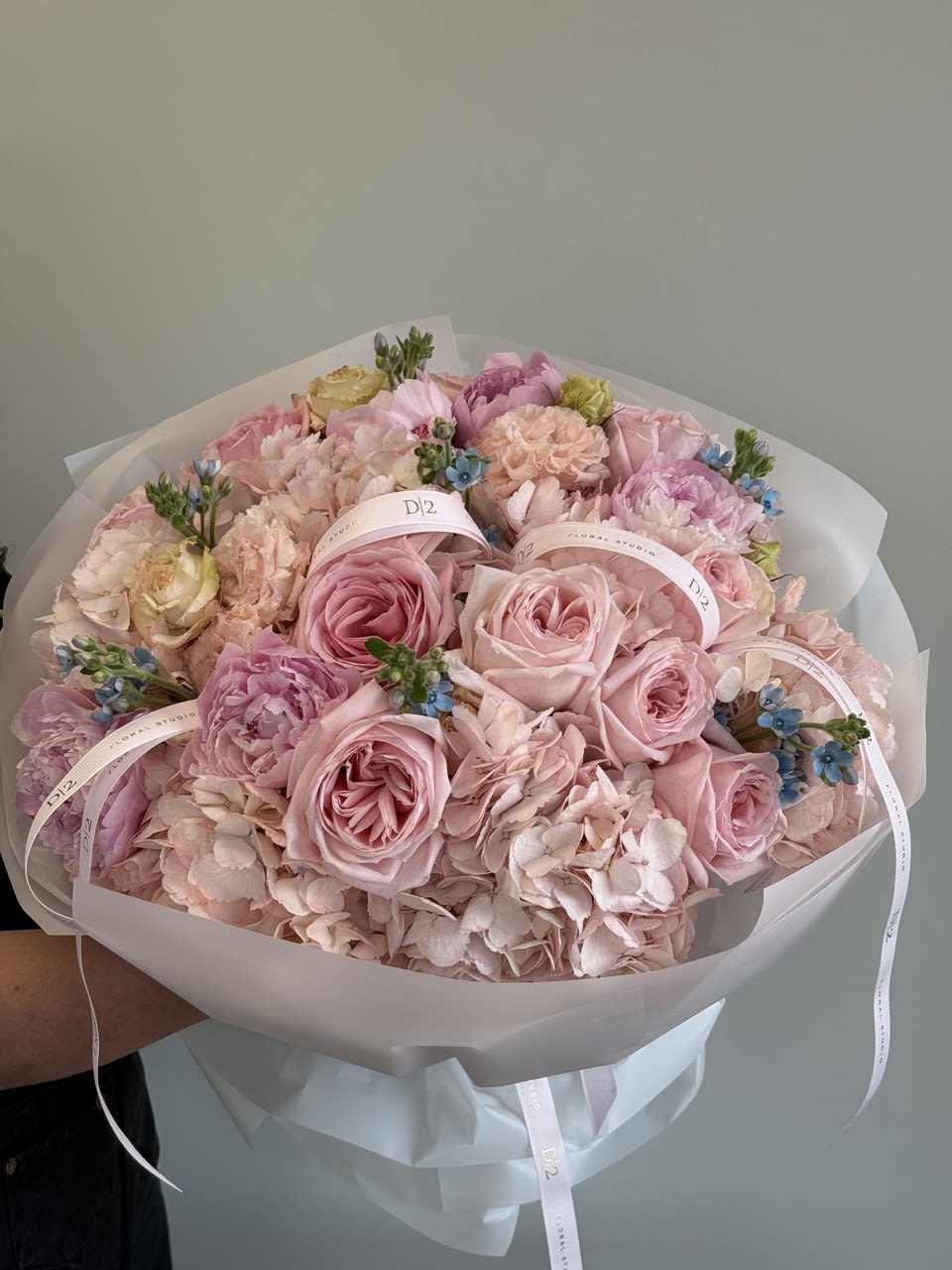Bouquet of pink roses and hydrangeas wrapped in white paper