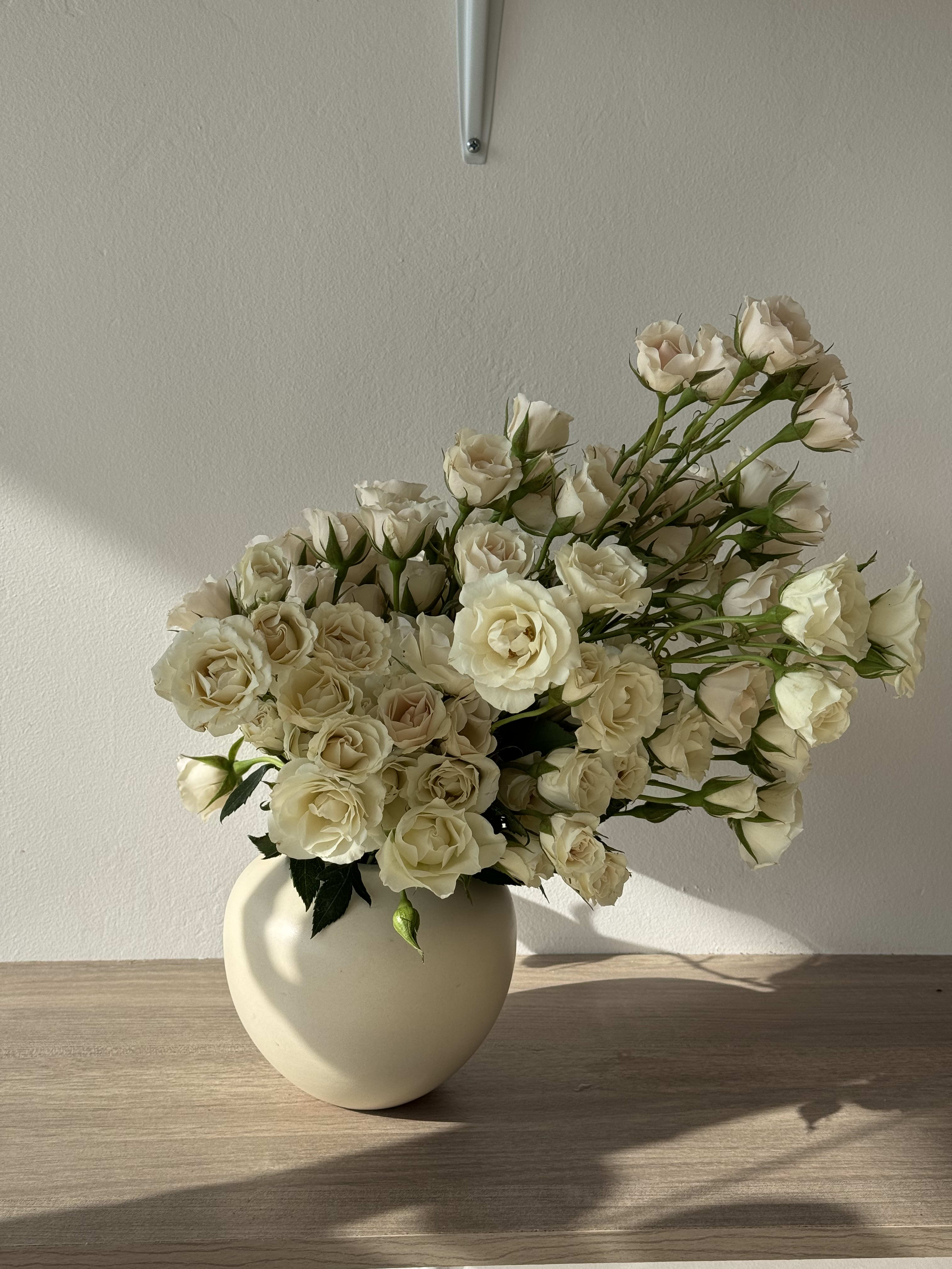 Cream roses arranged in a round beige vase