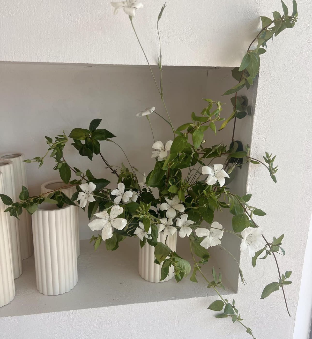 White flowers arranged with trailing green branches in ribbed cream vases