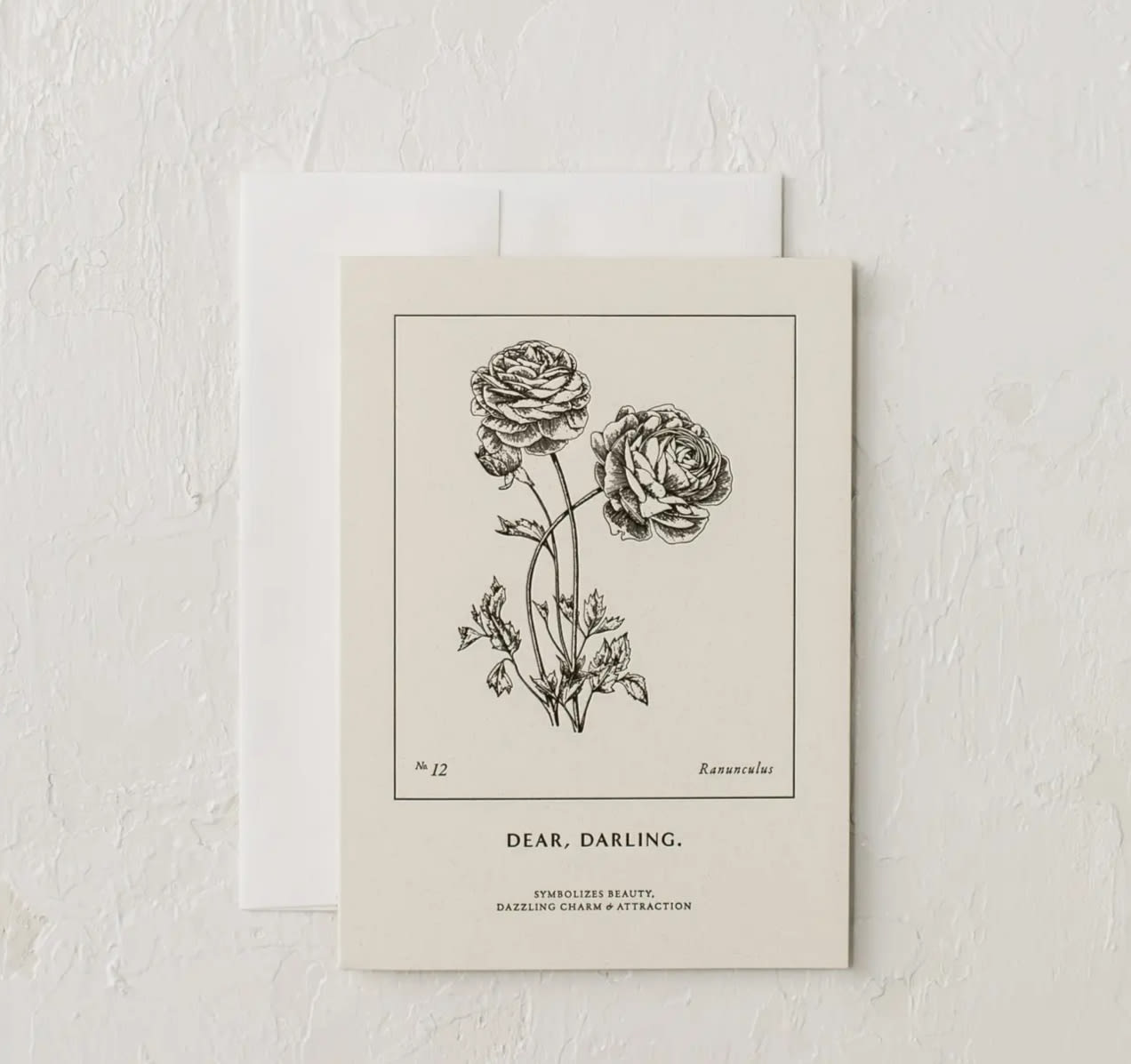 Two botanical greeting cards with a black-and-white ranunculus illustration