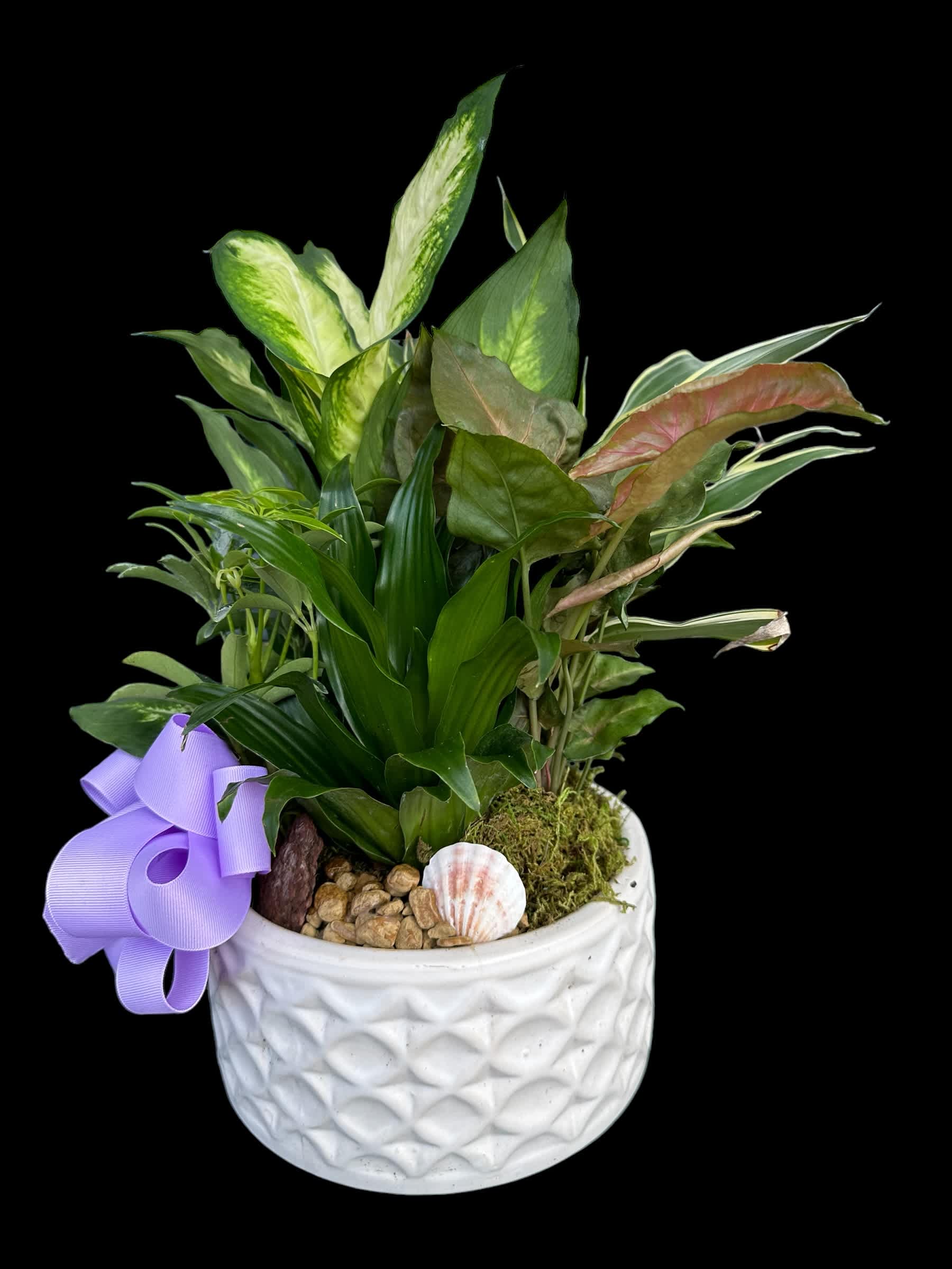 Potted green houseplant arrangement in a white textured planter with a purple ribbon