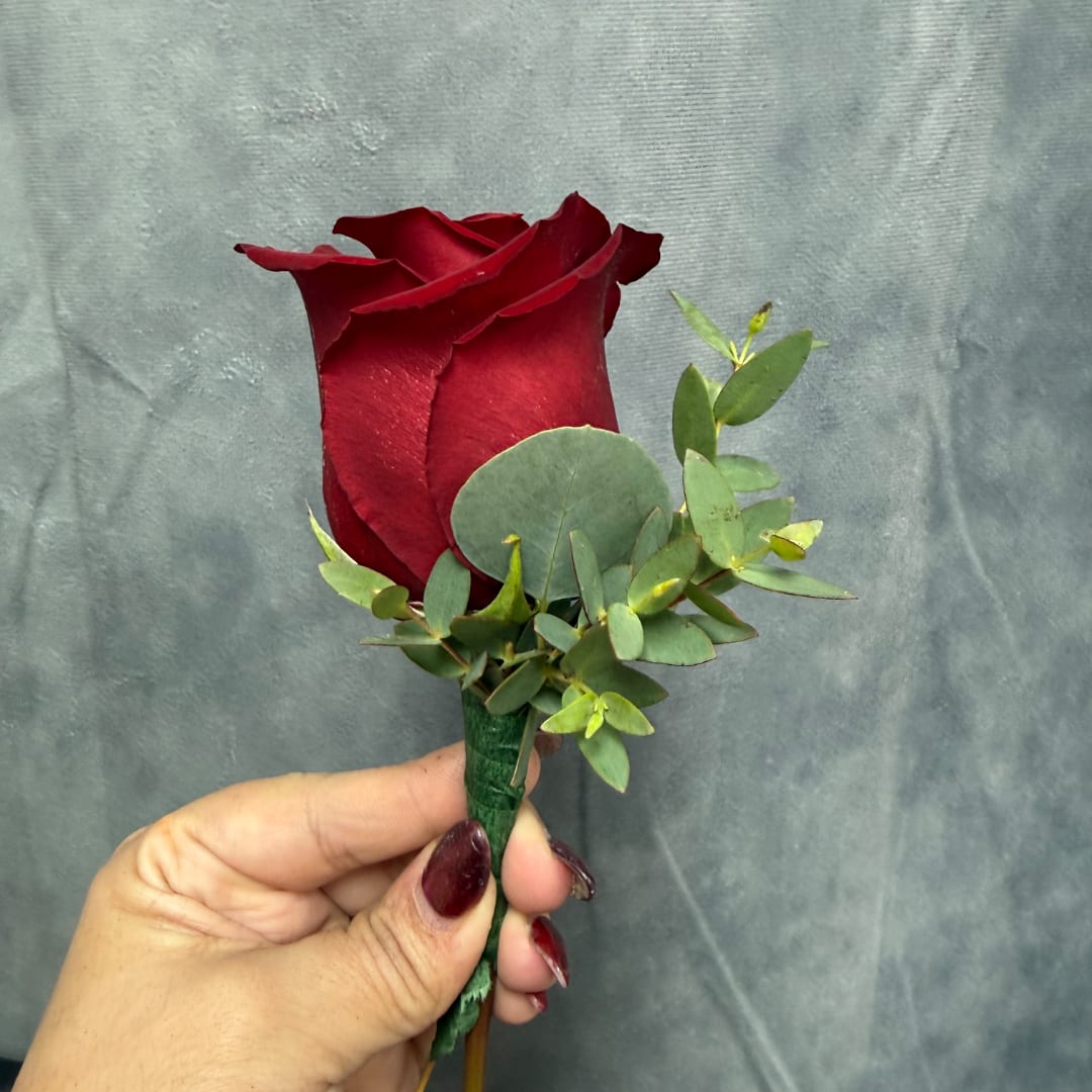 Single red rose boutonniere with eucalyptus greenery
