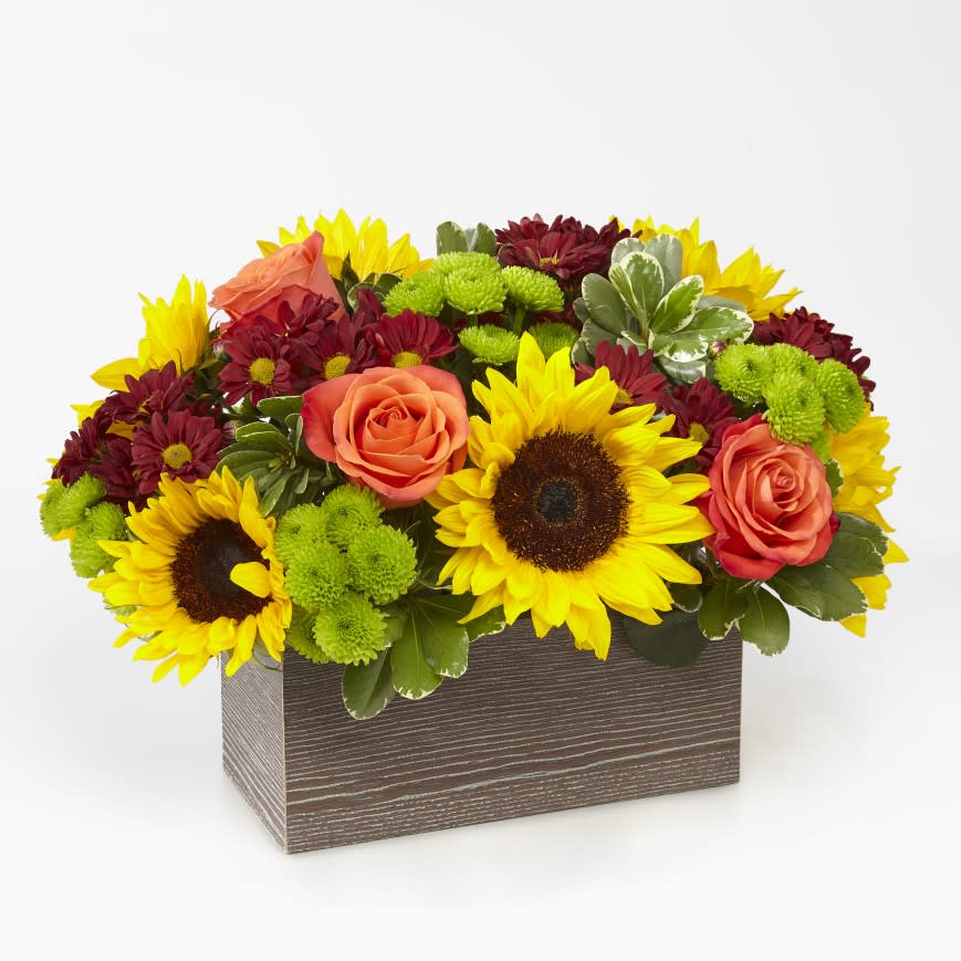 Happy Harvest Garden™ (F3) - Savor the freshness of fall with our Happy Harvest Garden. Packed with a collection of orange roses, bright sunflowers and butterscotch daisy pompons, this arrangement is a gorgeous gift for any occasion this Autumn. Whether it's for an inviting centerpiece or festive décor in any room, these blooms are sure to bring smiles all season long. Size is approximate.  10"H x 16"W
