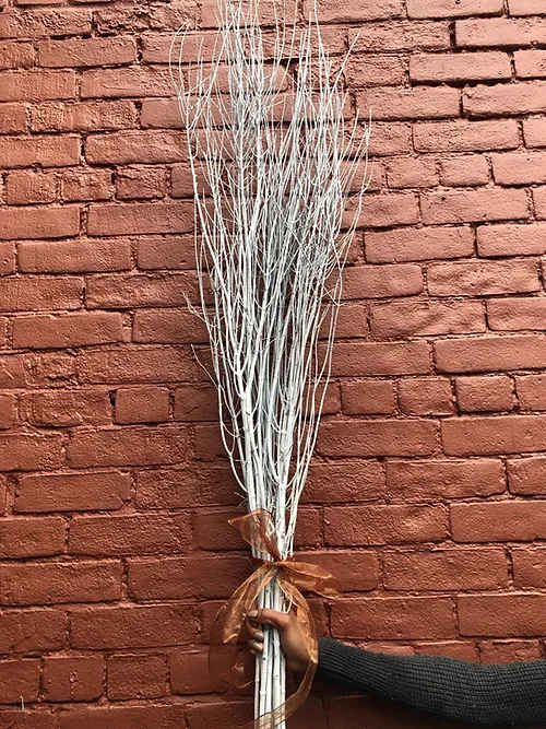 Bundle of tall white decorative branches tied with a brown ribbon
