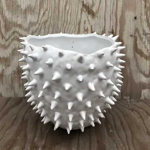 White spiked ceramic planter on a wooden surface