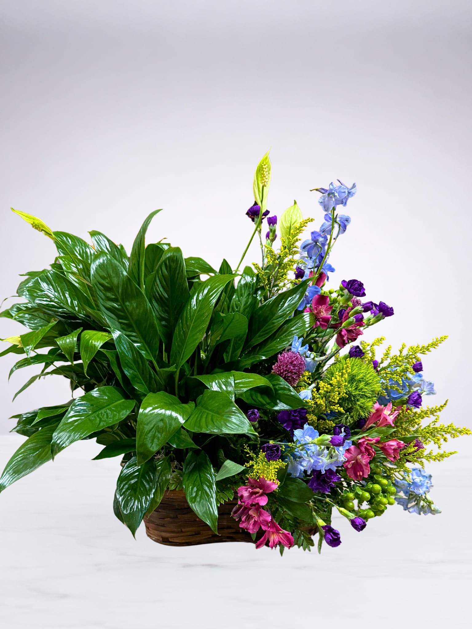 The Best of Both Worlds - With this basket you are able to send someone both a plant and fresh flowers! Our designer's will pick a 6" plant and design a flower arrangement on the other side. Plants and flowers will vary according to availability.   