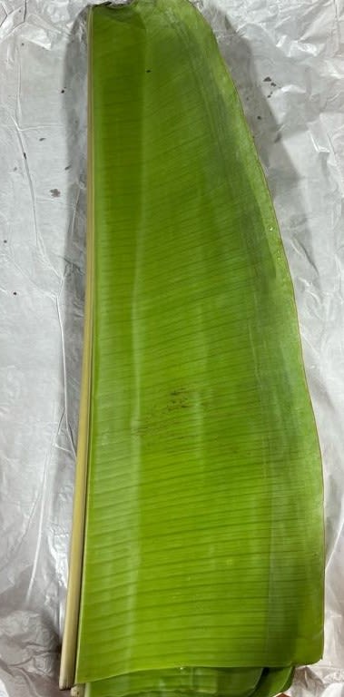 Single large green tropical leaf on plastic wrap