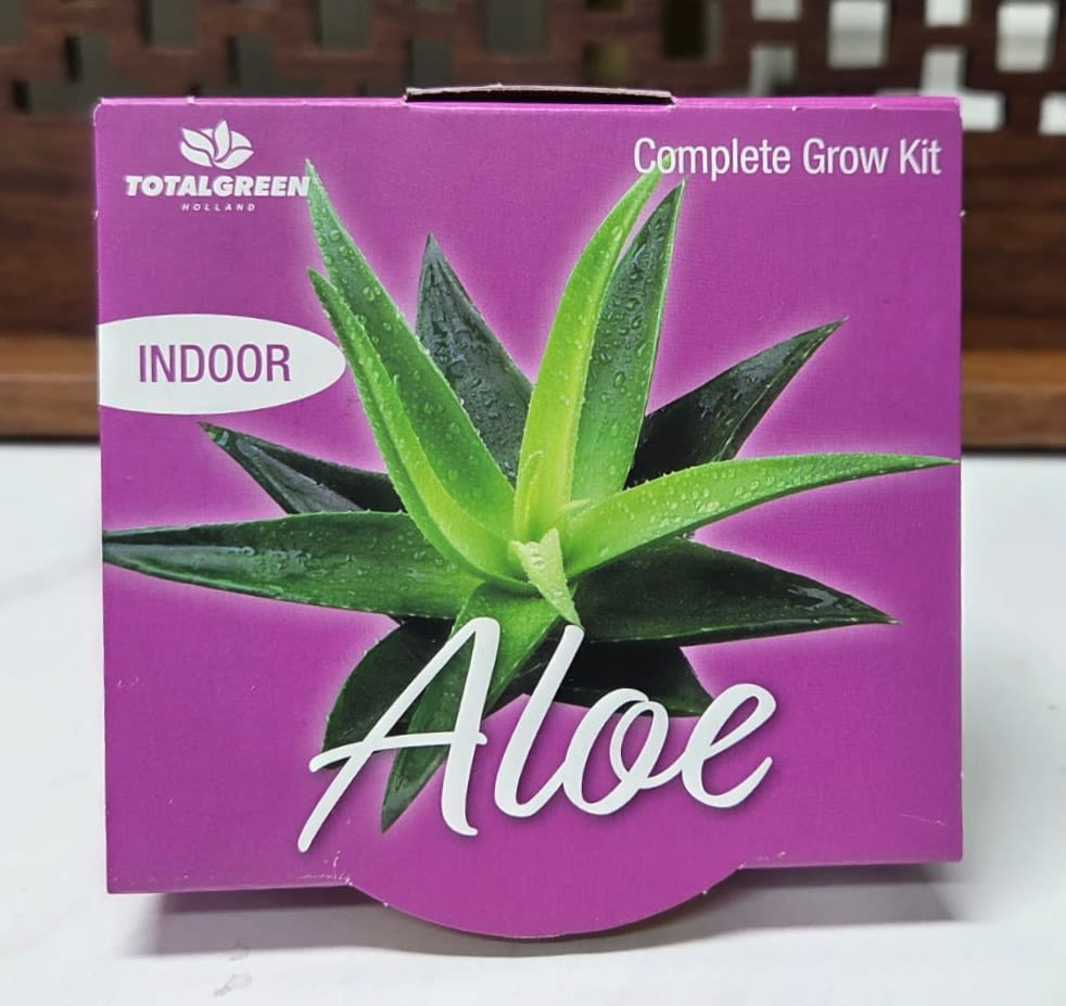 Purple box labeled Aloe with a succulent plant image