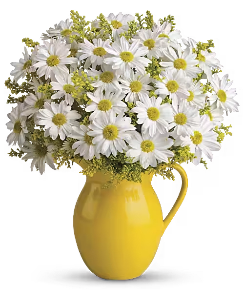 White daisies in a yellow pitcher vase