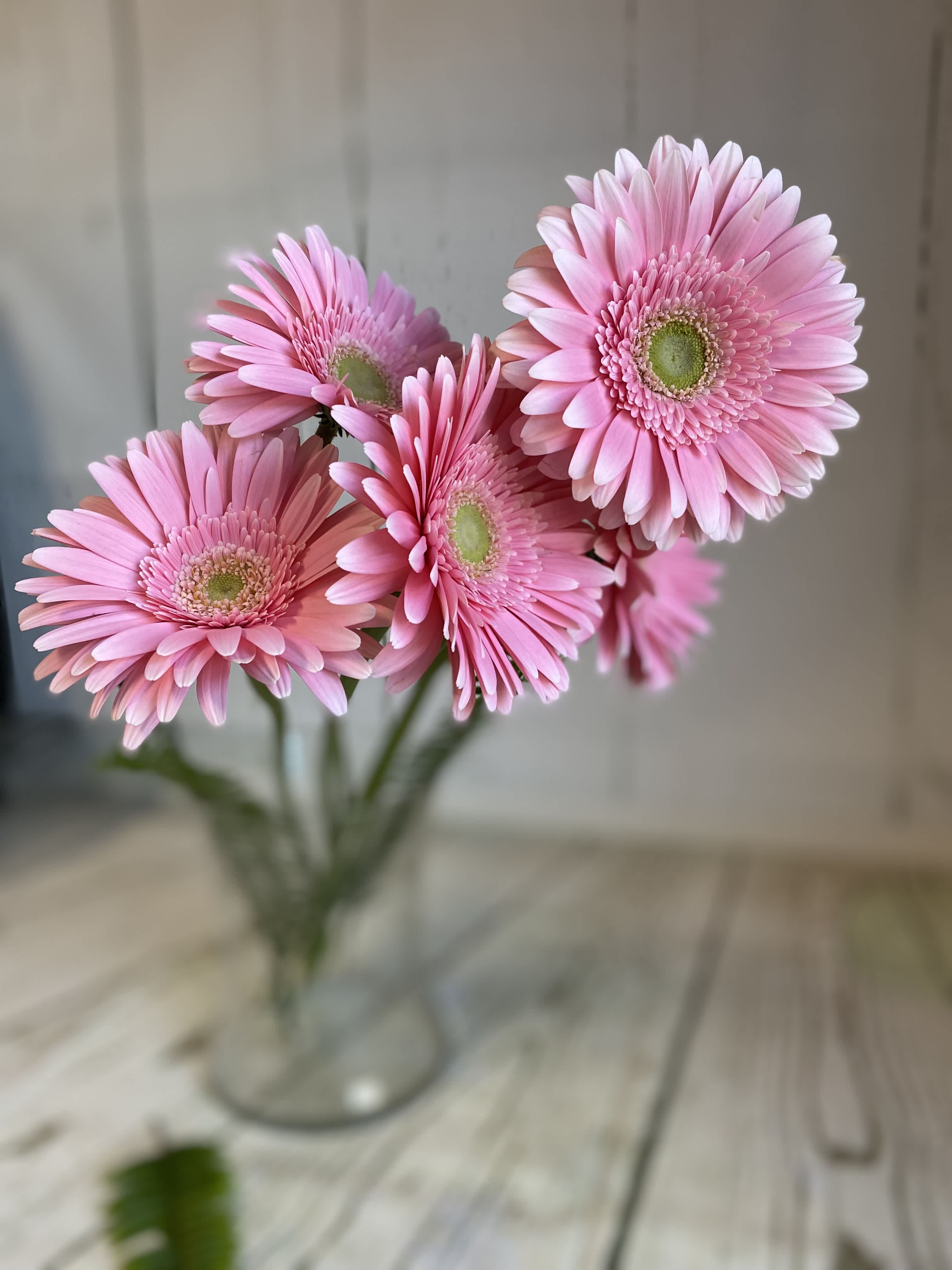 Pink gerbera daisies in a clear glass vase
