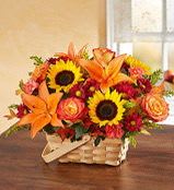 Fields of Europe for Fall Basket - Fields of Europe for Fall Basket 