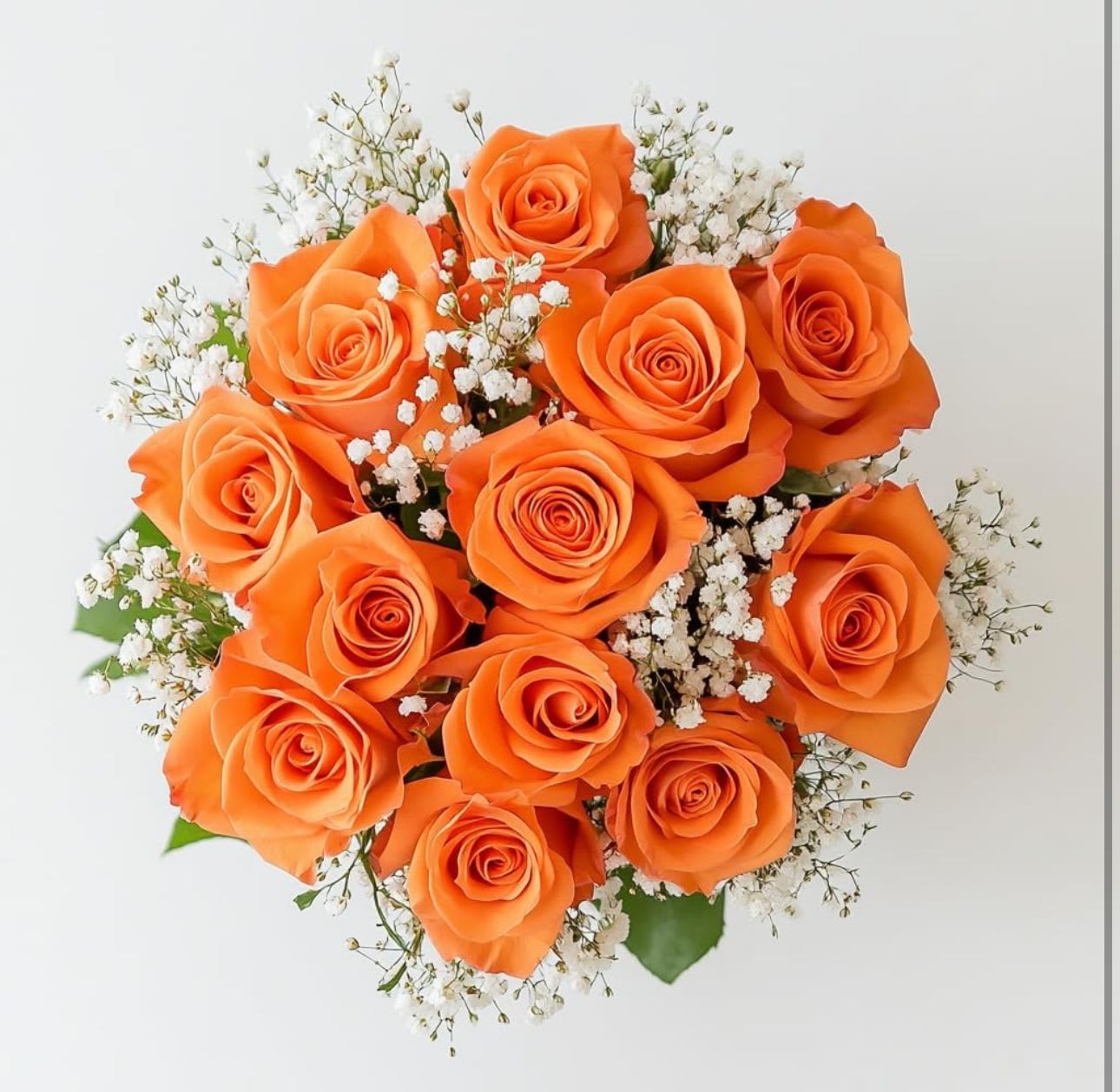 1 dozen orange roses bouquet - 1 dozen orange roses bouquet