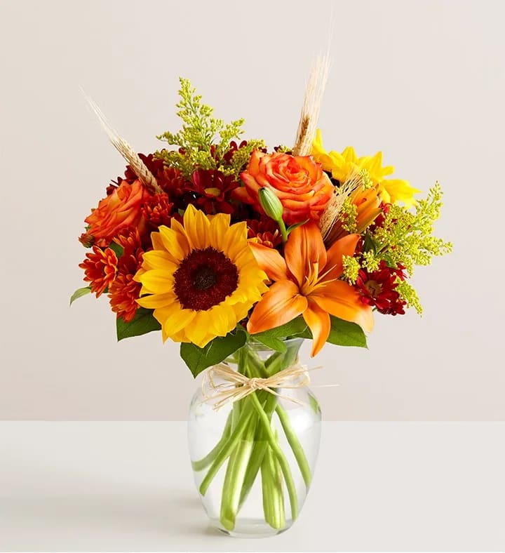 Fields of Europe® Fall - Fields of Europe® Fall