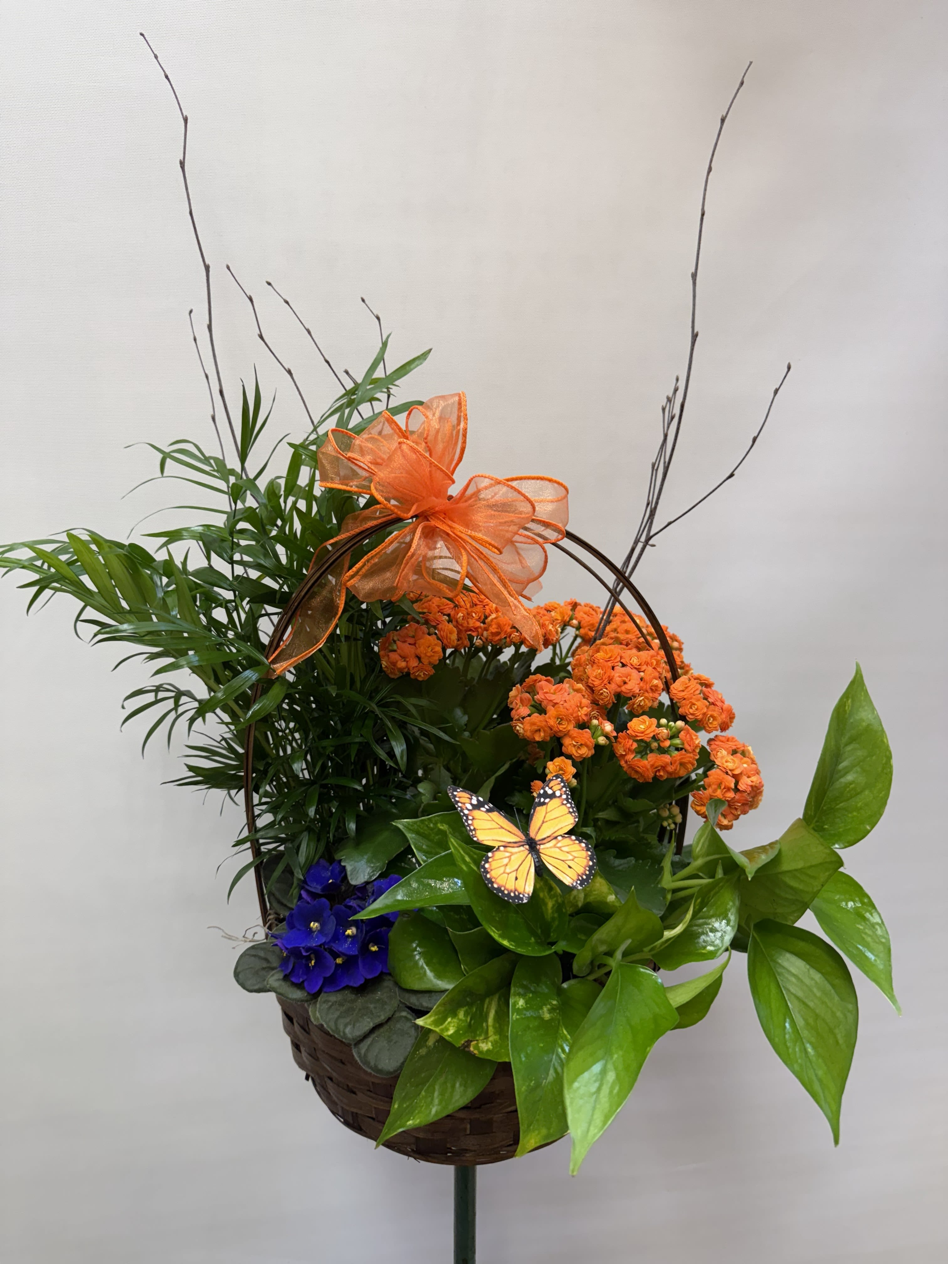 Blooming Garden  - Bouquet will be delivered approximately as pictured. A variety of green plants and blooming mixed into a garden. Plants vary throughout the week. Colors may vary. A bow and butterfly/bird may be added for the funeral service.  Appropriate for any occasion