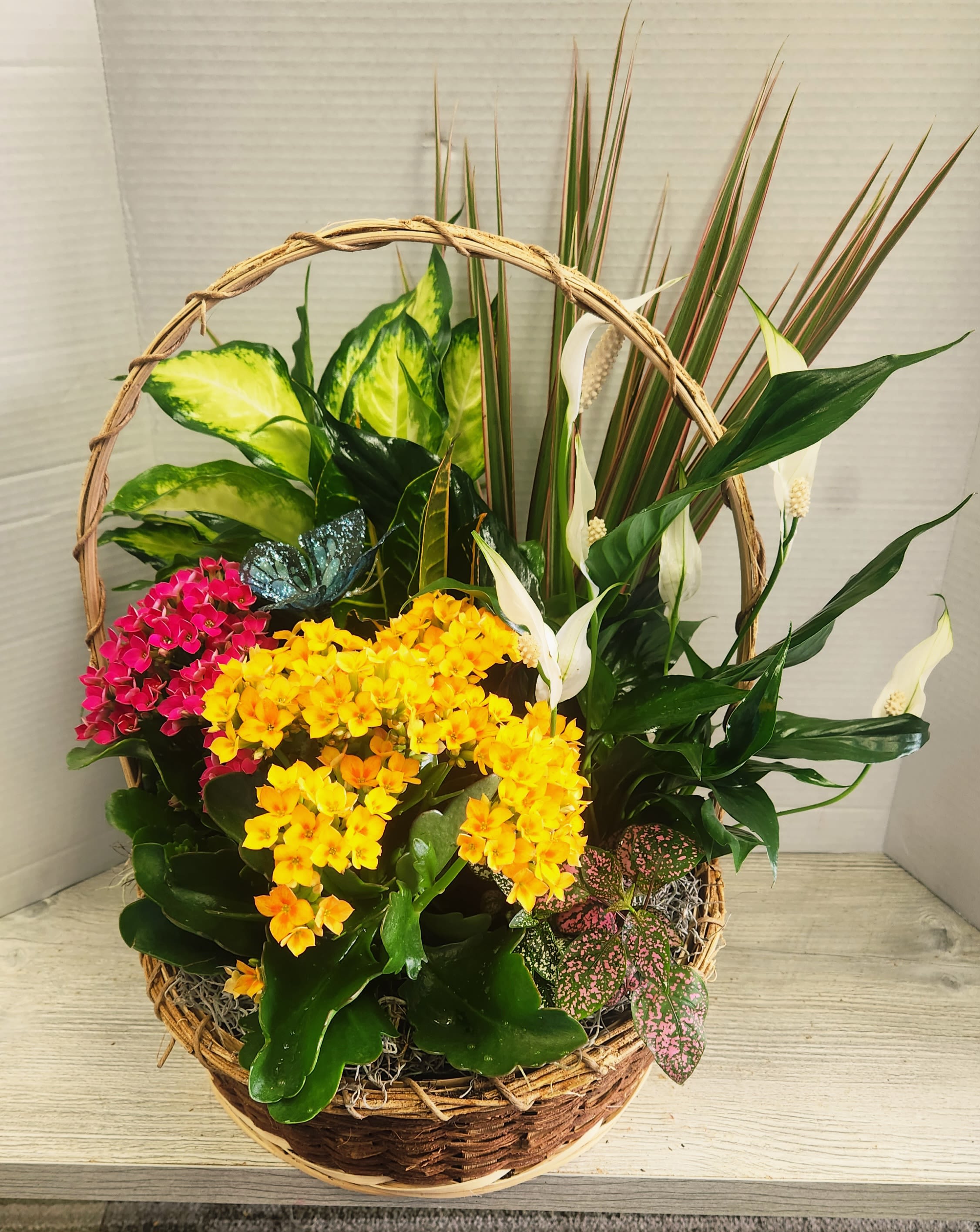 Basket arrangement with colorful flowering plants and white peace lilies