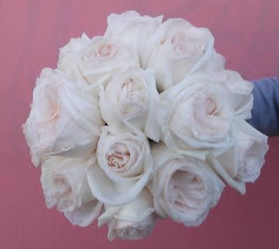 Bouquet of white roses against a pink background