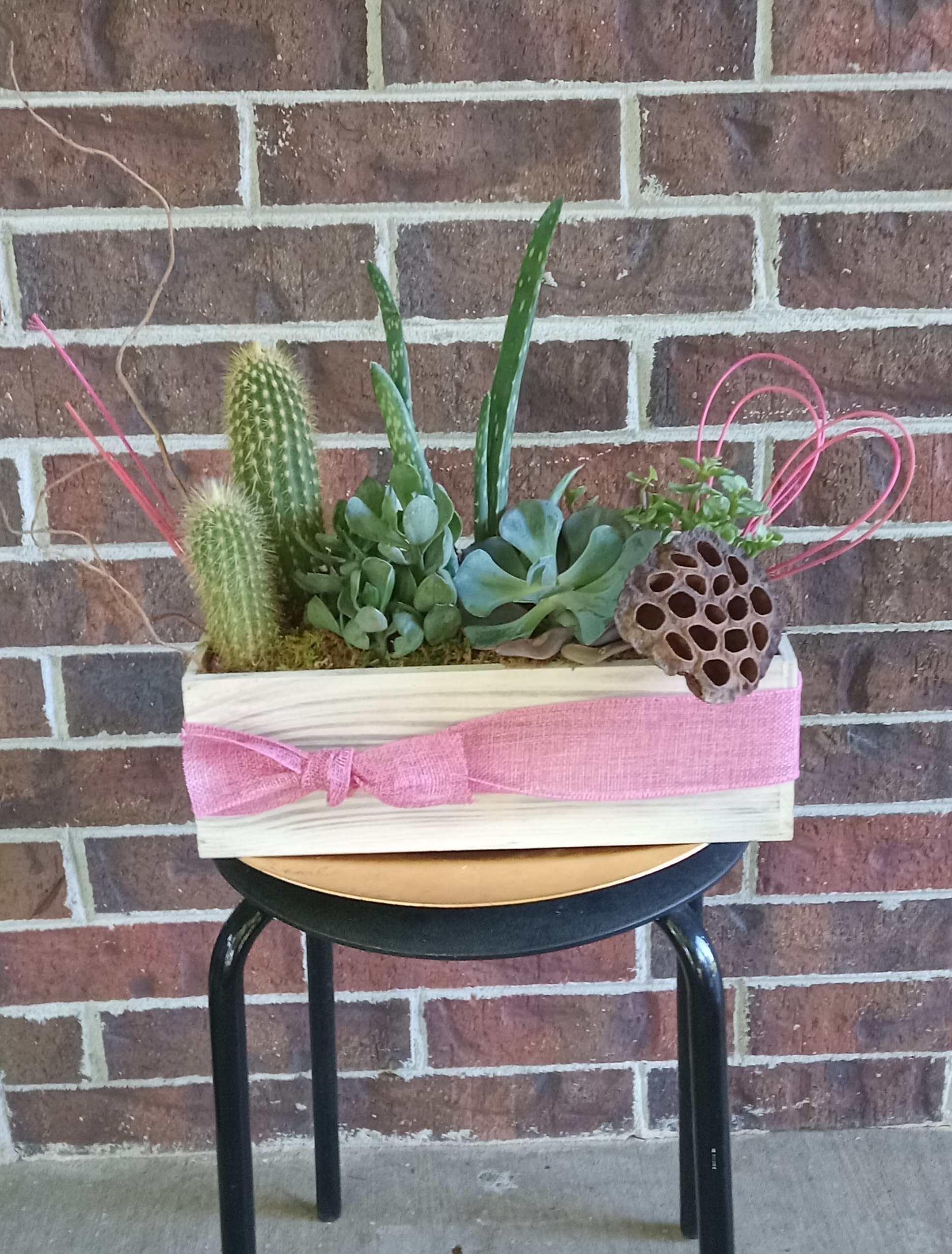 Chic Succulent Garden by BloomNation™ - Everybody loves succulents! Send them to brighten up a new desk or home. Perfect for Father's Day or to celebrate a new job.
