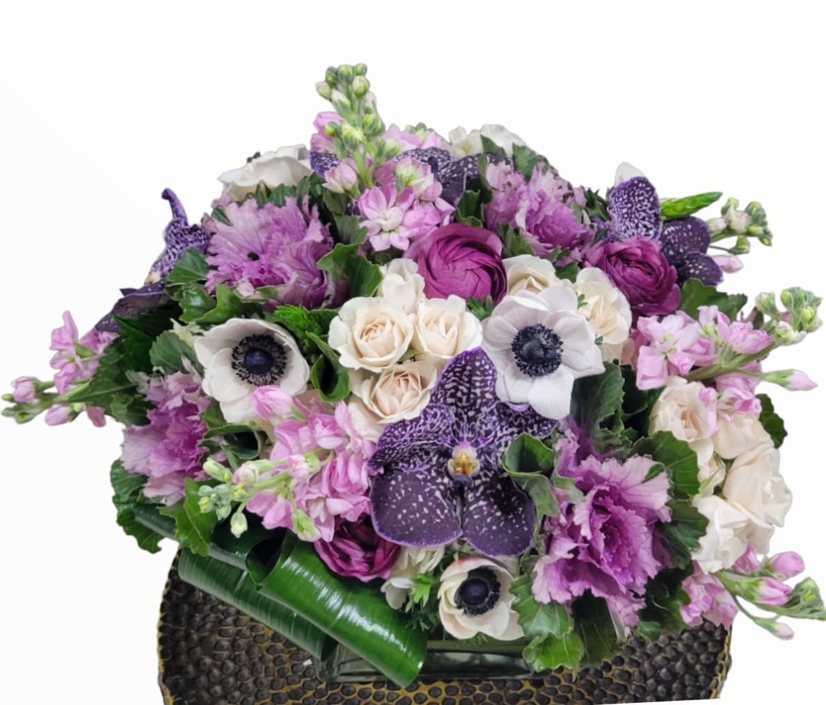 Sugar Plum - Step into a world of enchantment with our Sugar Plum arrangement, where delicate white anemones, blush pink stock, vibrant ranunculus, and ethereal white spray roses dance alongside majestic purple cabbage. This captivating ensemble blends whimsy with sophistication, creating a captivating centerpiece that exudes grace and charm. Let its beauty transport you to a dreamlike realm where every bloom tells a story of elegance and wonder.