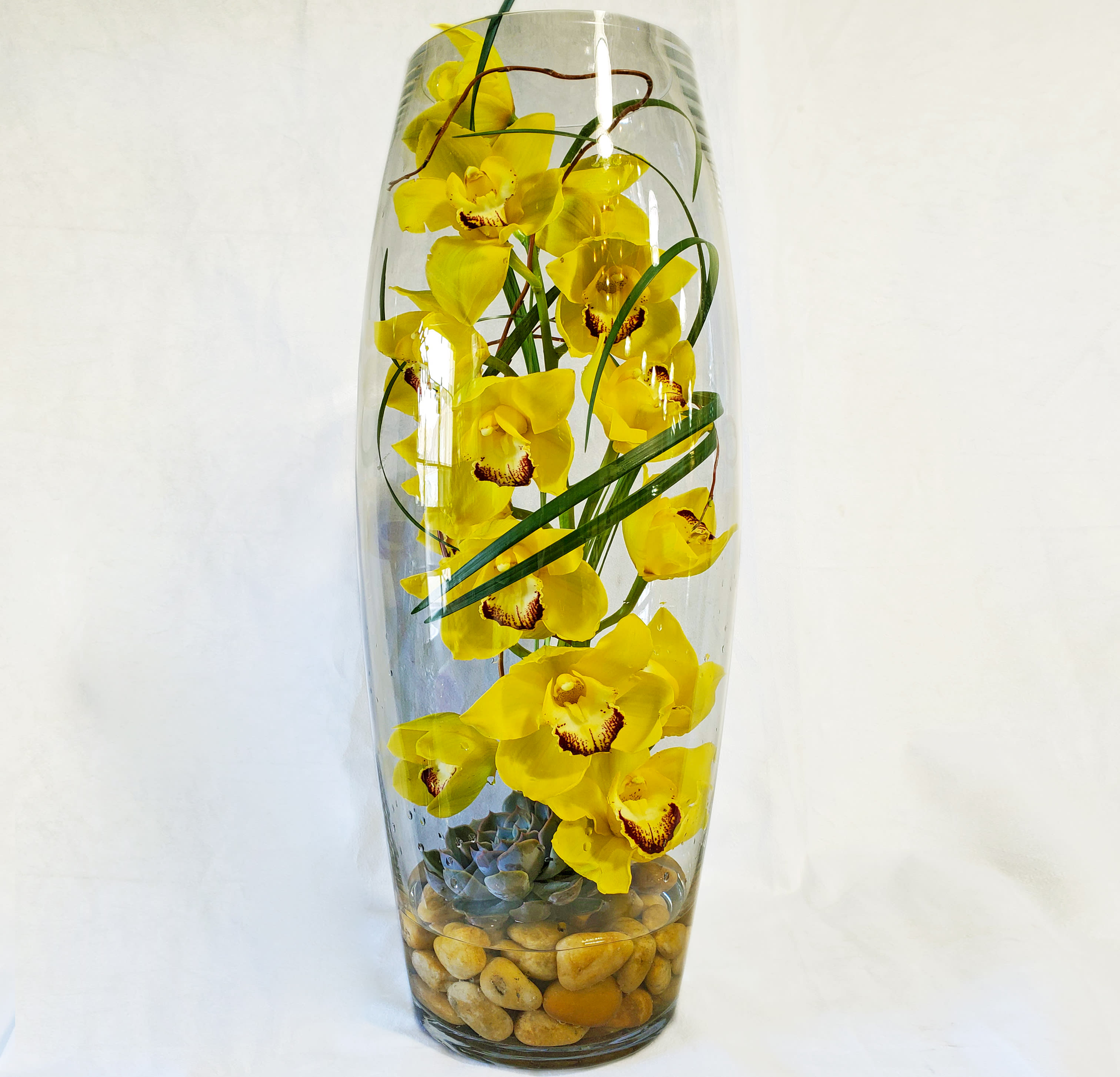 Cymbidium Orchid in a Glass Vase - Make a modern statement with submerged green orchids! A simple glass cylinder and tropical leaves are the only additions to this minimal, Zen arrangement. Improve your feng shui with a stem of green cymbidium orchids and variegated leaves, submerged in a tall cylinder vase. Orientation: All-Around