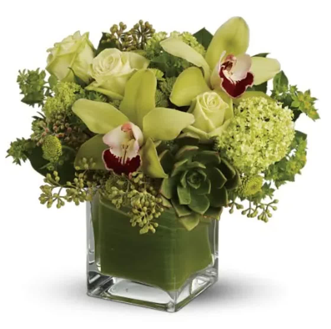Rainforest Bouquet -  The green abundance of the rainforest is captured in this lovely bouquet brimming with exotic green cymbidium orchids, roses and colorful succulents. Artfully arranged in a glass cube vase, it's a gift that's as right as rain.  A refreshing mix of flowers including green cymbidium orchids, echeveria succulents, roses and chrysanthemums accented with viburnum, bupleurum and eucalyptus. Delivered in a clear glass, leaf-lined cube vase. 