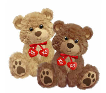 Two teddy bears with red heart tags on a white background
