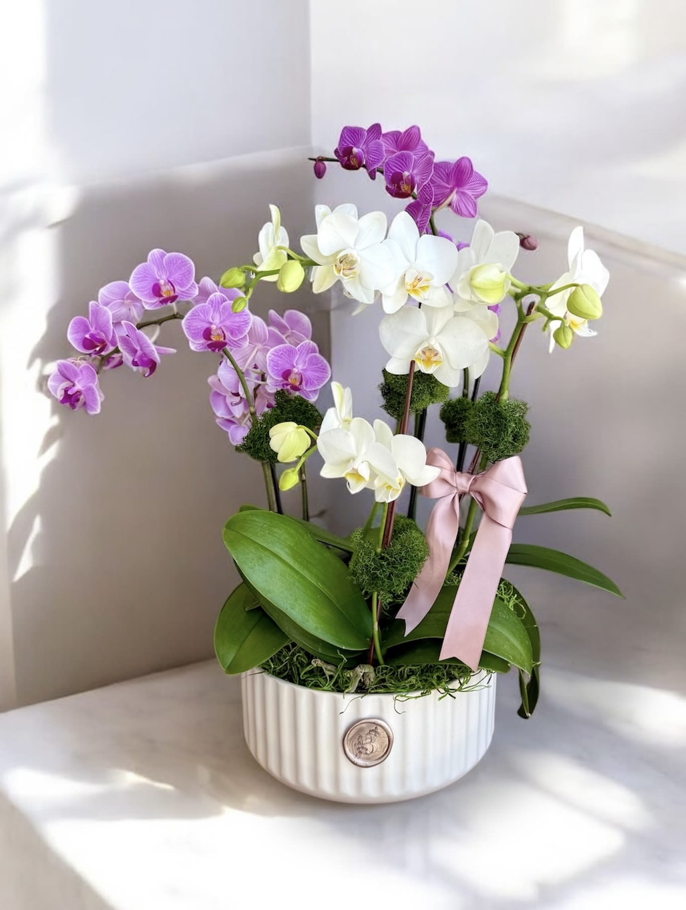 Potted orchids in white, pink, and purple with a pink ribbon