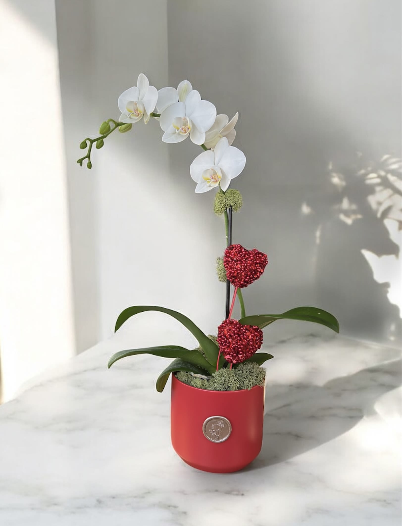 White orchid arrangement in a red pot with red heart decorations