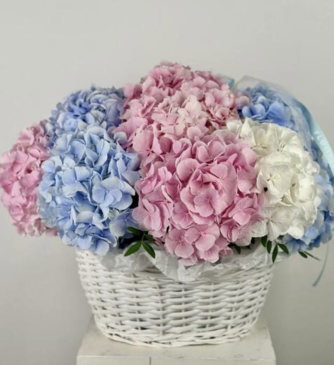 elegance - in standard 18 hydrangeas very beautiful fresh